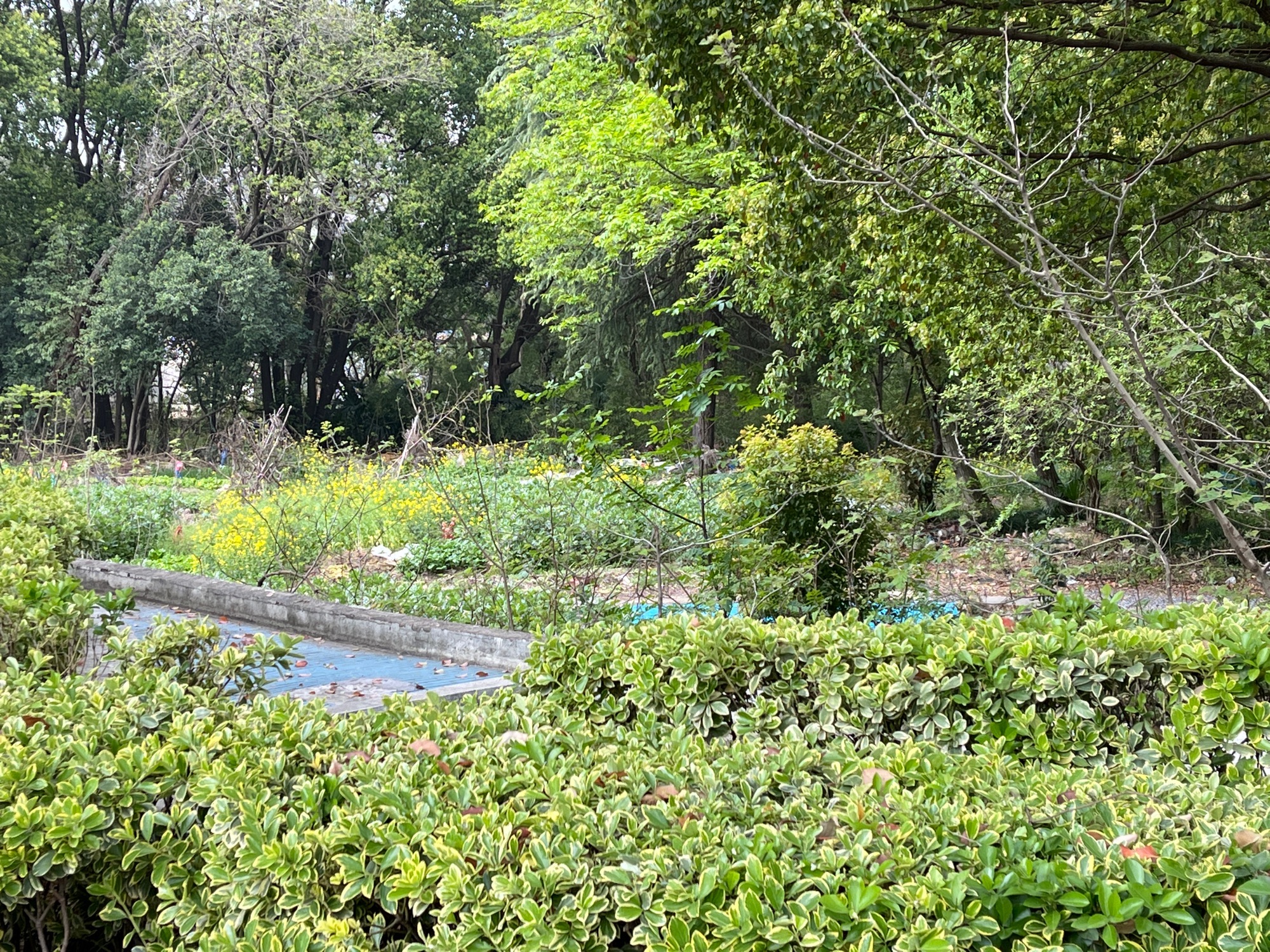 常州科普植物园旅行图片 1