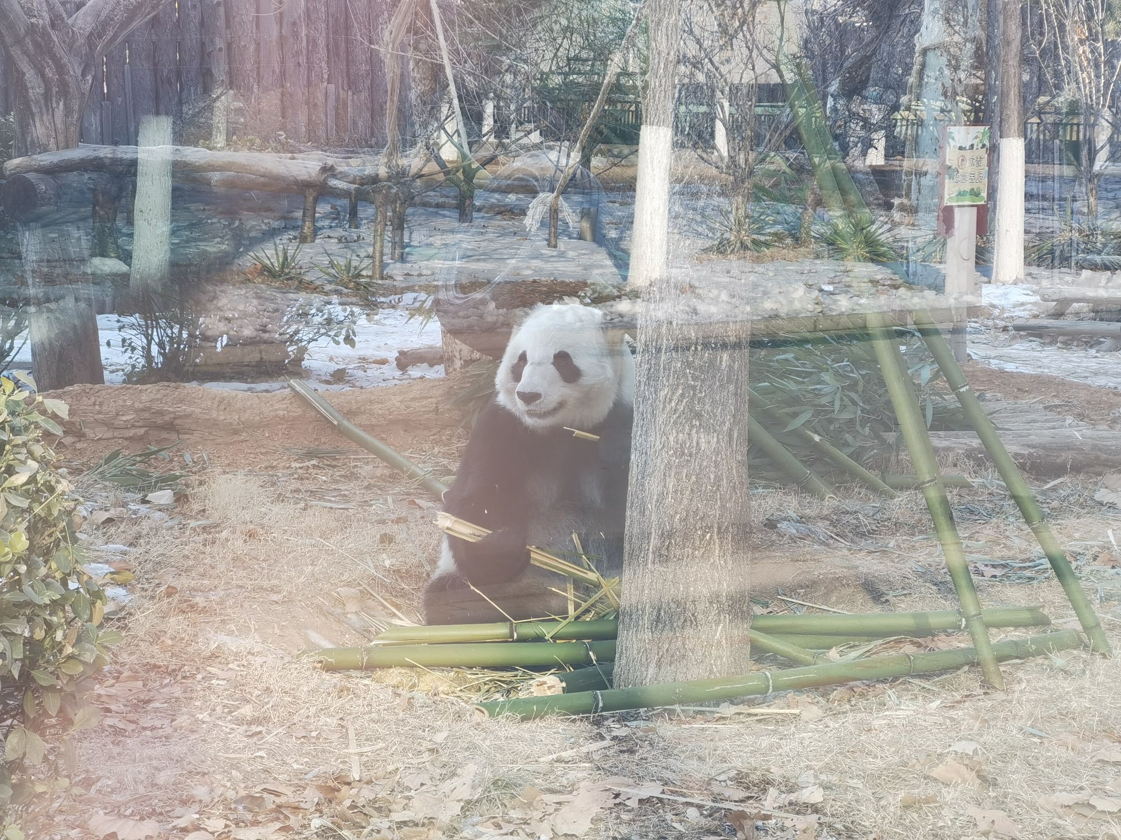 唐山动物园旅行图片 3