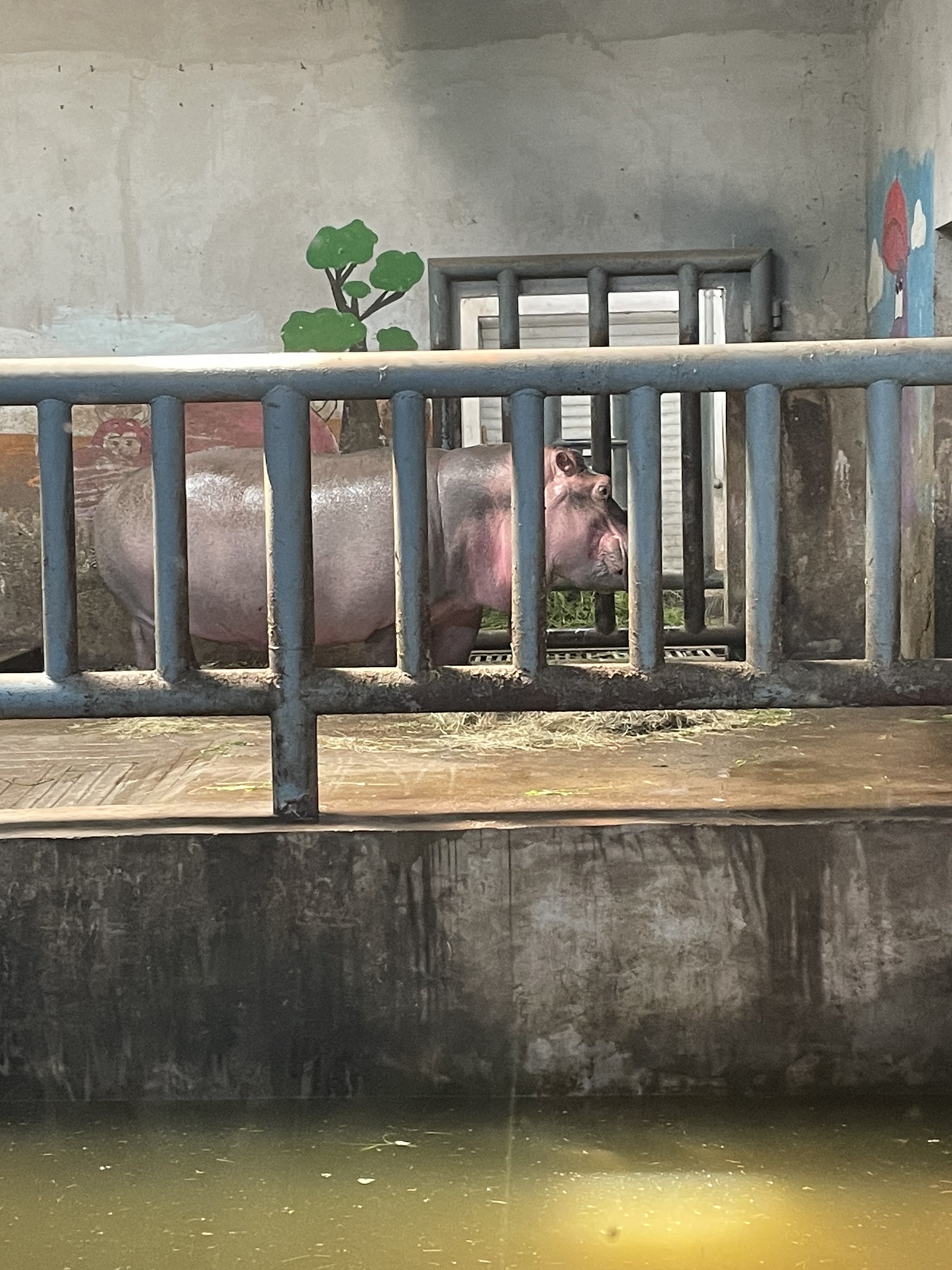 唐山动物园旅行图片 2