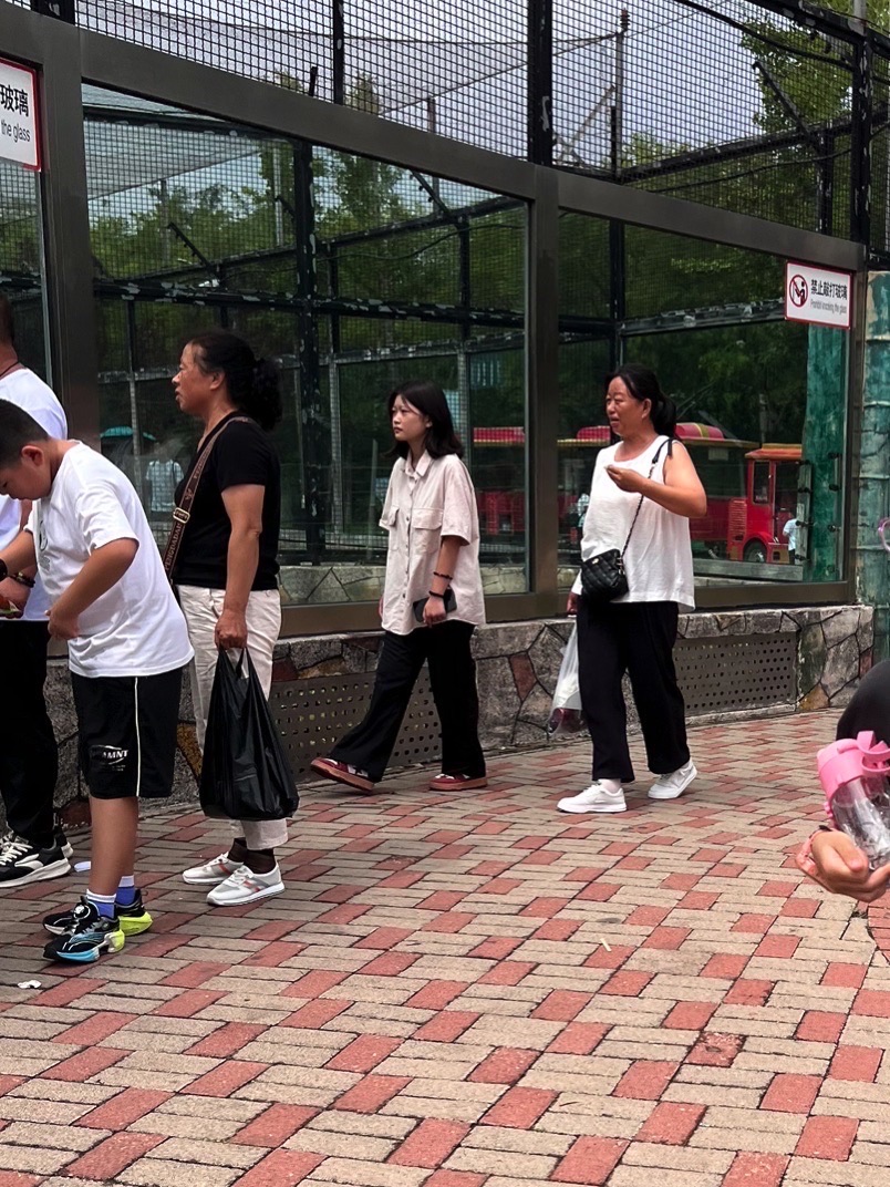 唐山动物园旅行图片 2
