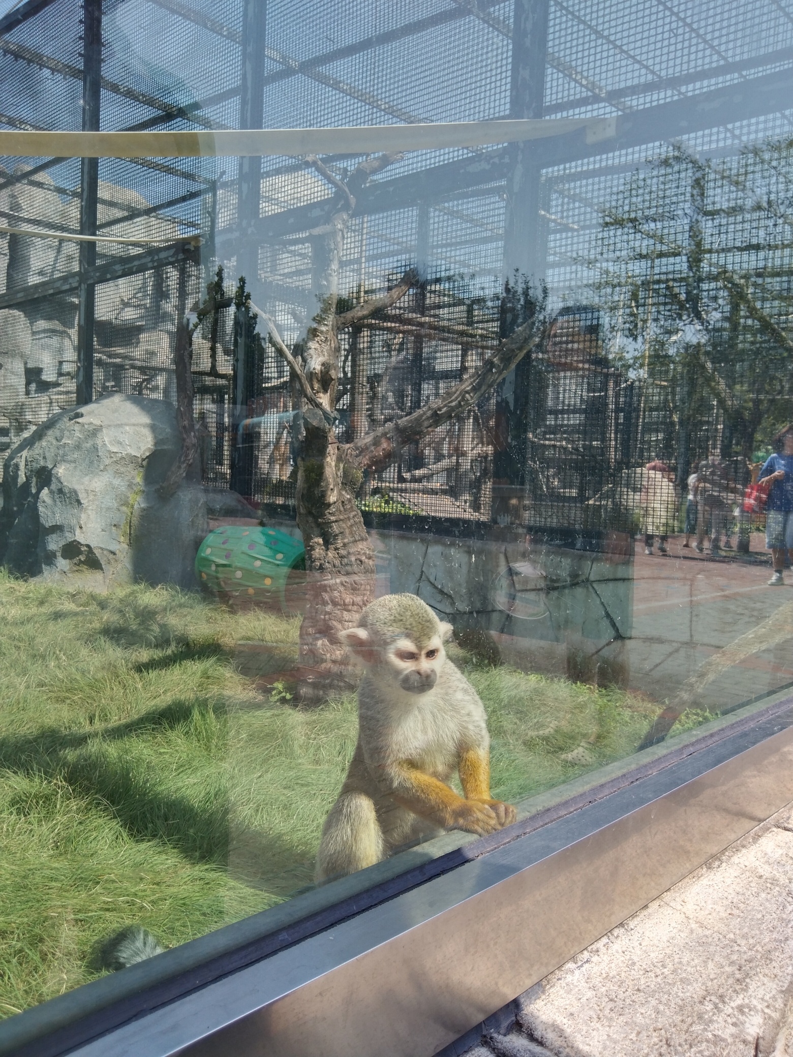 唐山动物园旅行图片 2