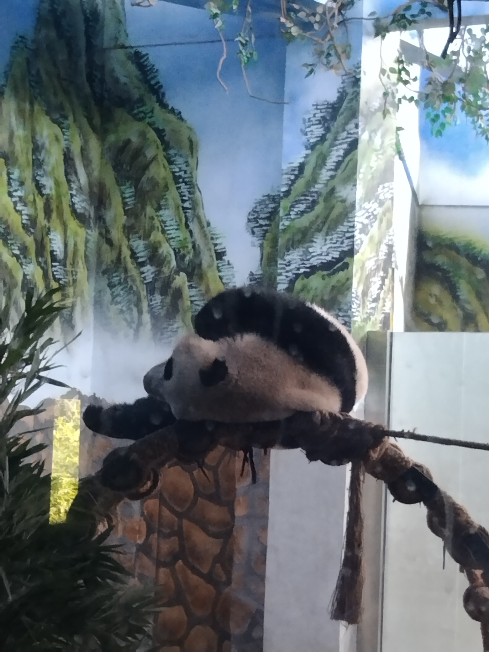 唐山动物园旅行图片 3