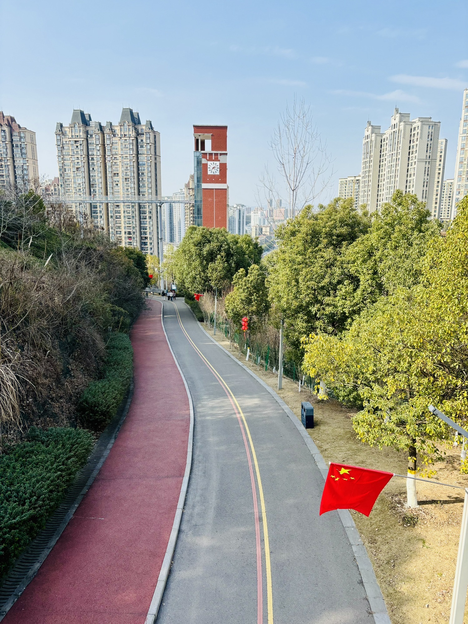 城东公园旅行图片 3