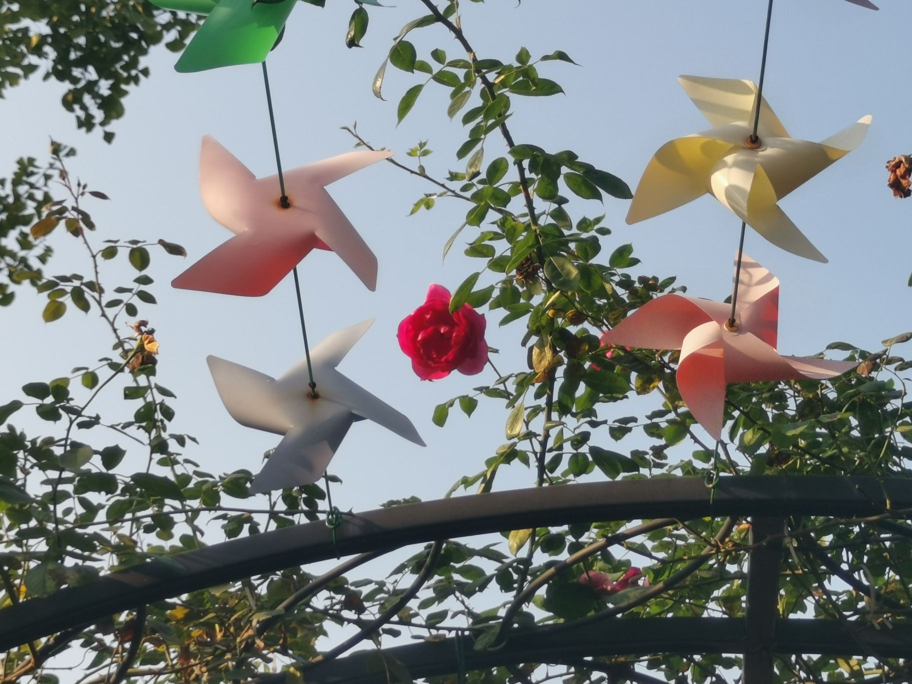 城东公园旅行图片 3
