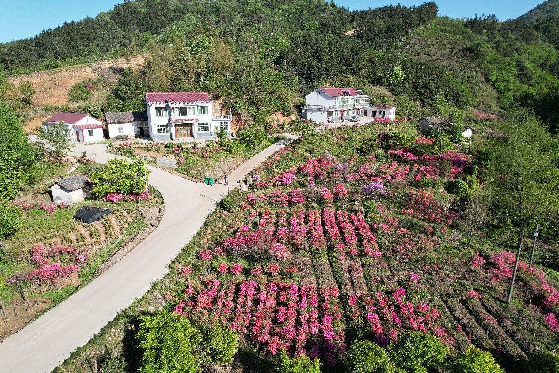 赏心园旅行图片 2