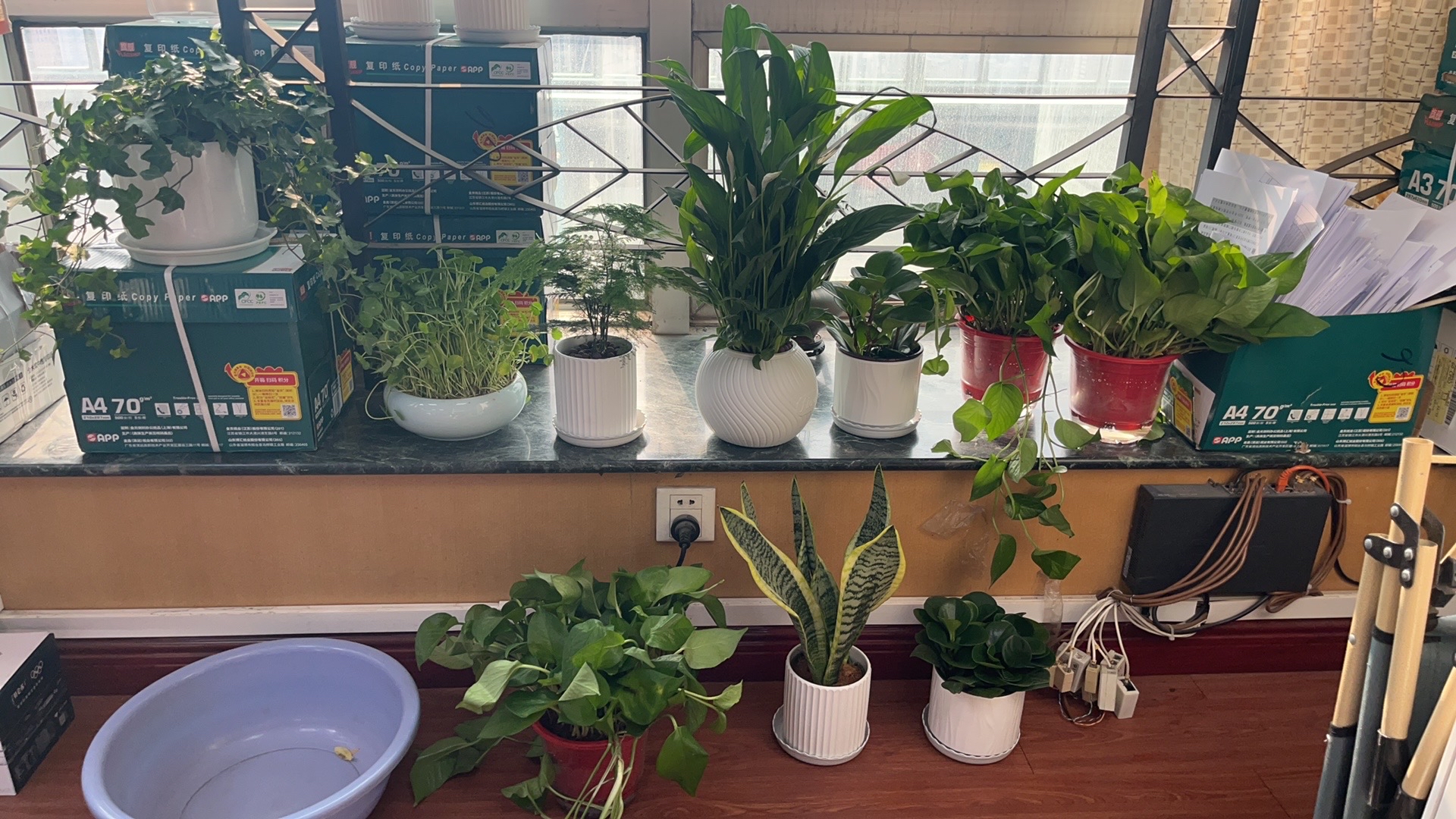 太原植物园旅行图片 3