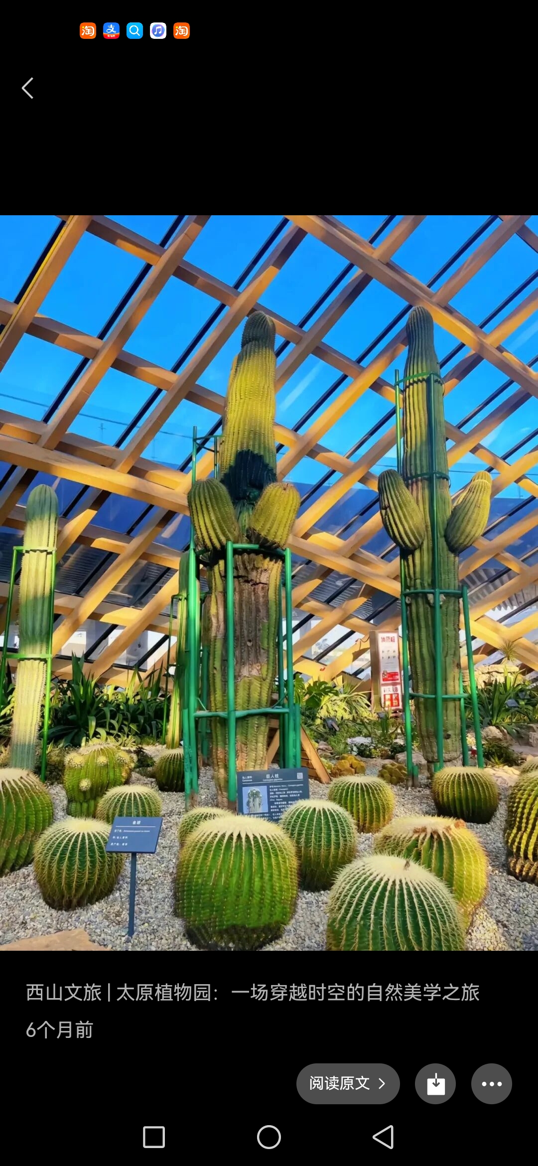 太原植物园旅行图片 3
