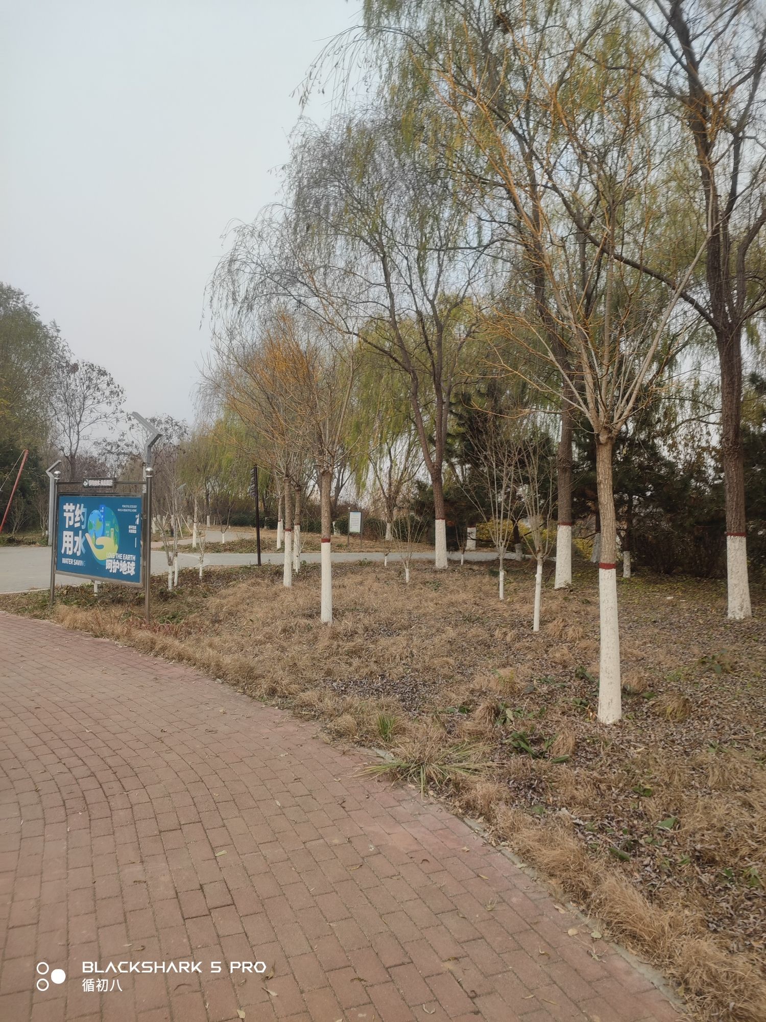 滨河公园旅行图片 1