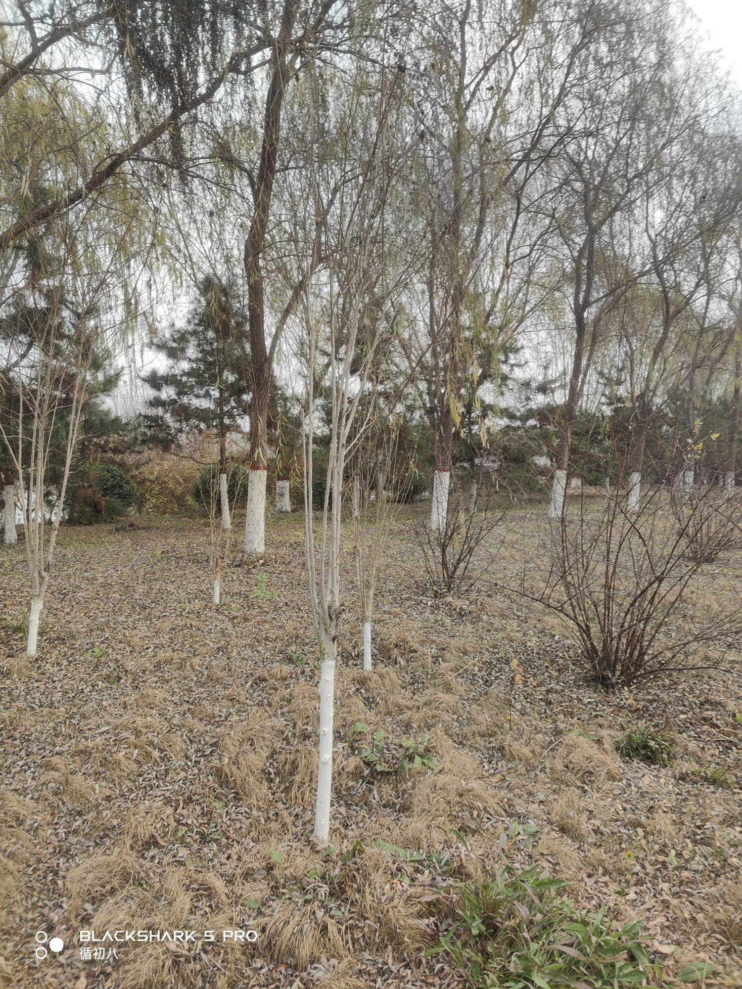 滨河公园旅行图片 2