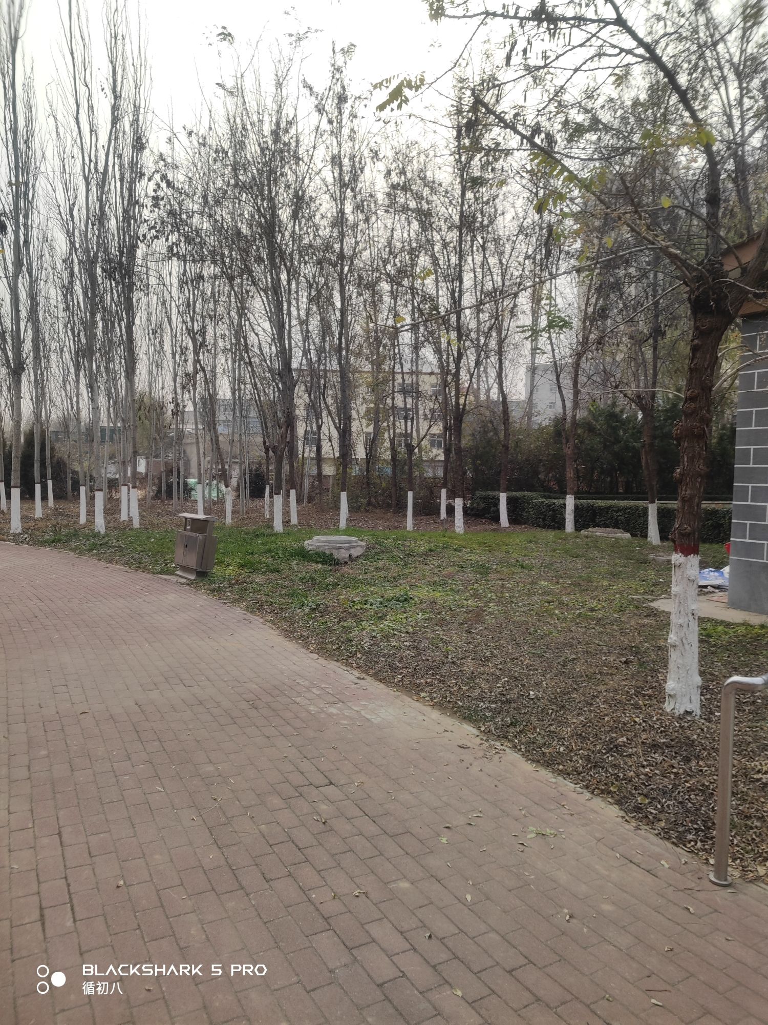 滨河公园旅行图片 3
