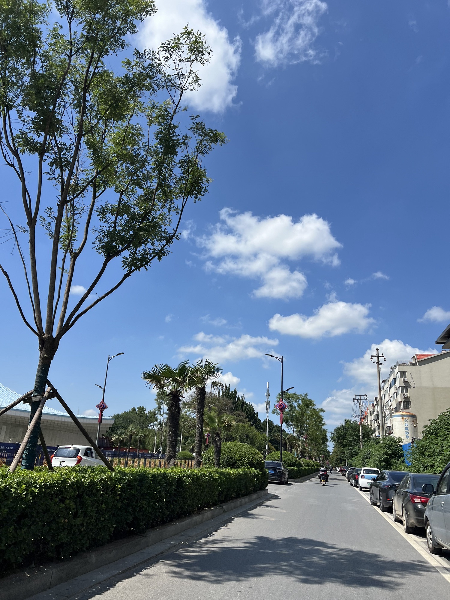 新郑门遗址旅行图片 2