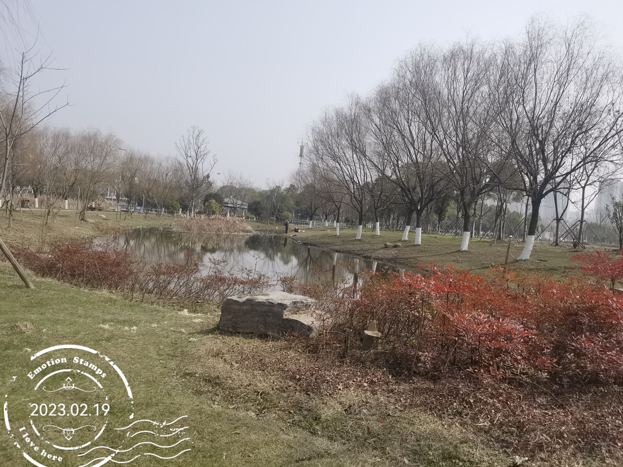 光谷三路湿地公园旅行图片 1