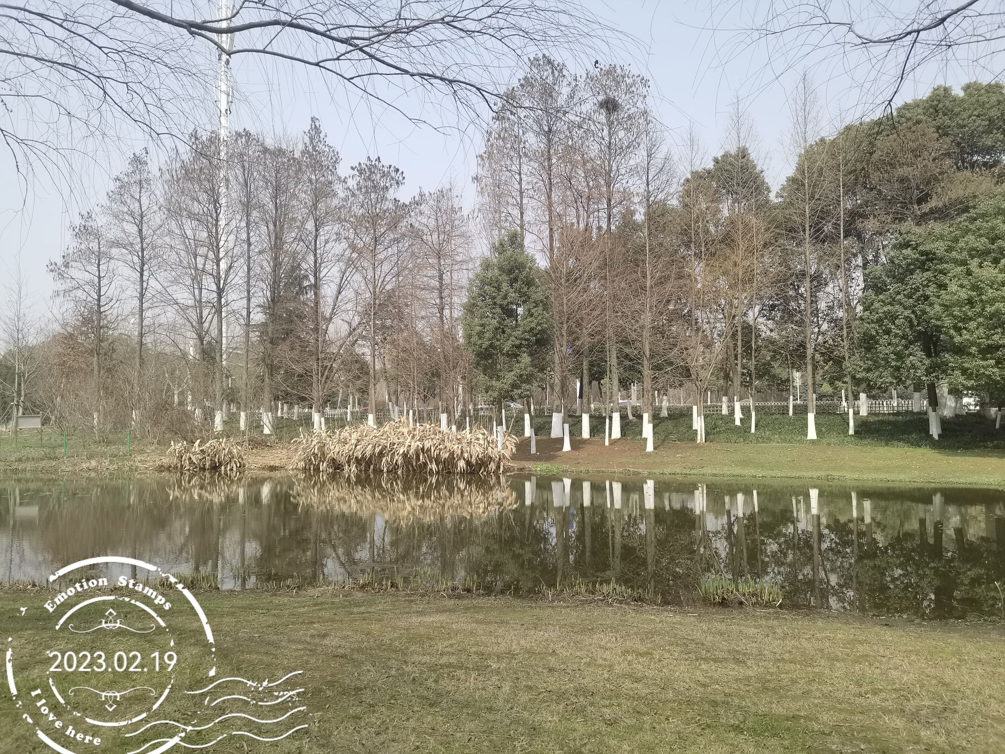 光谷三路湿地公园旅行图片 2