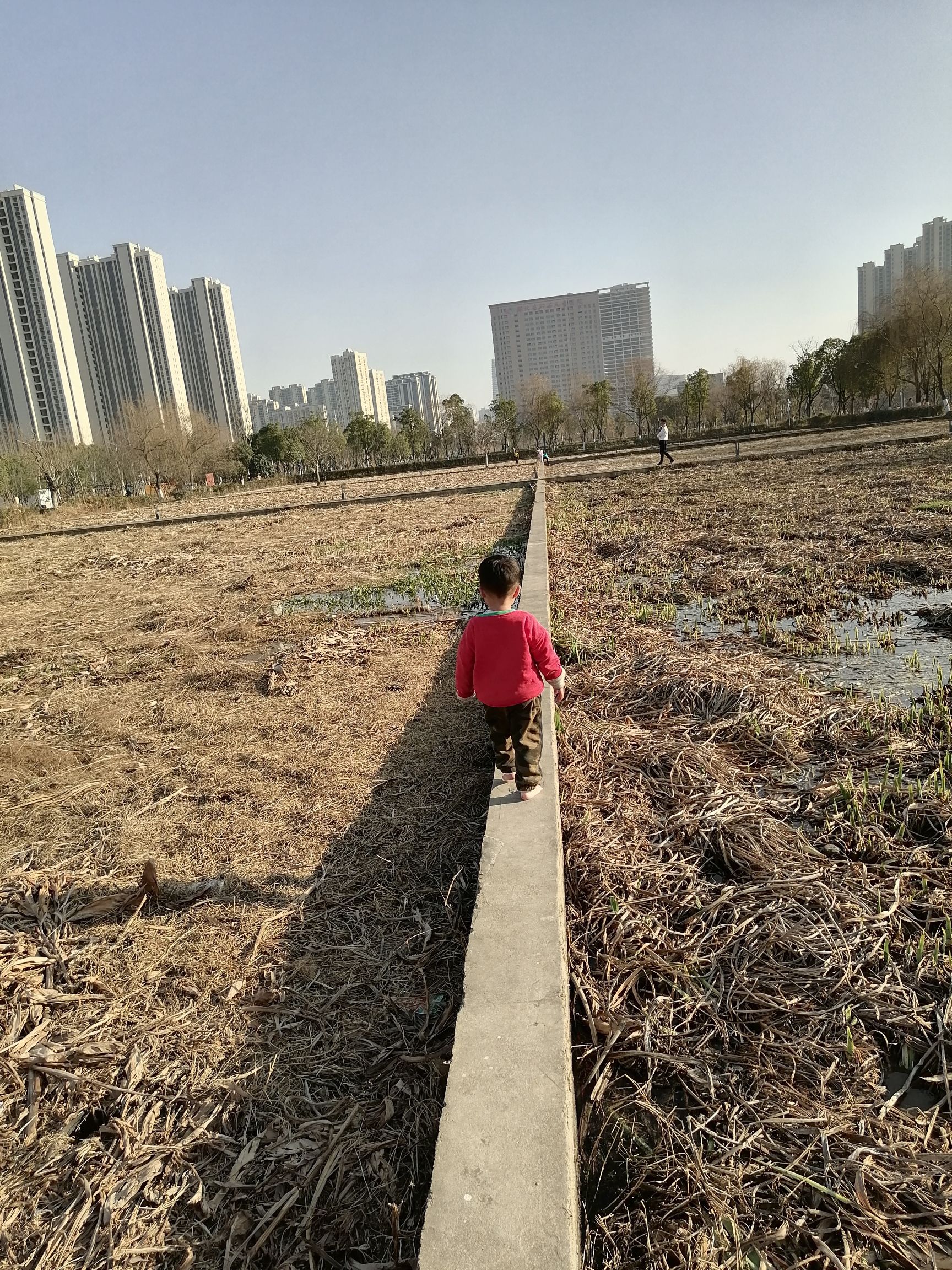 光谷三路湿地公园旅行图片 1