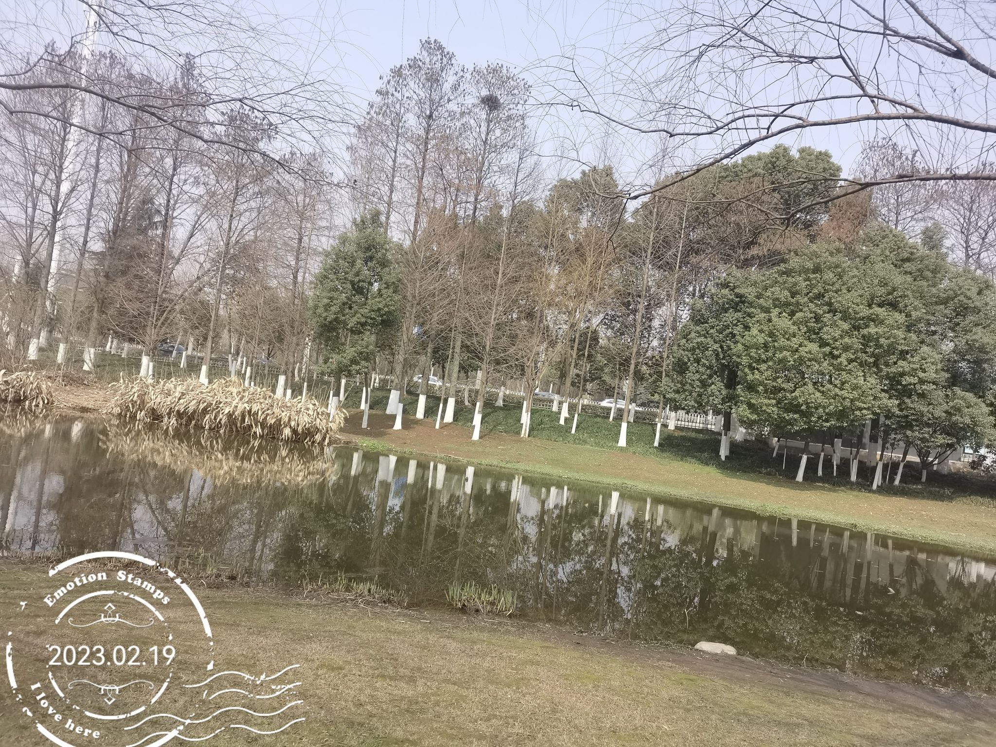 光谷三路湿地公园旅行图片 3
