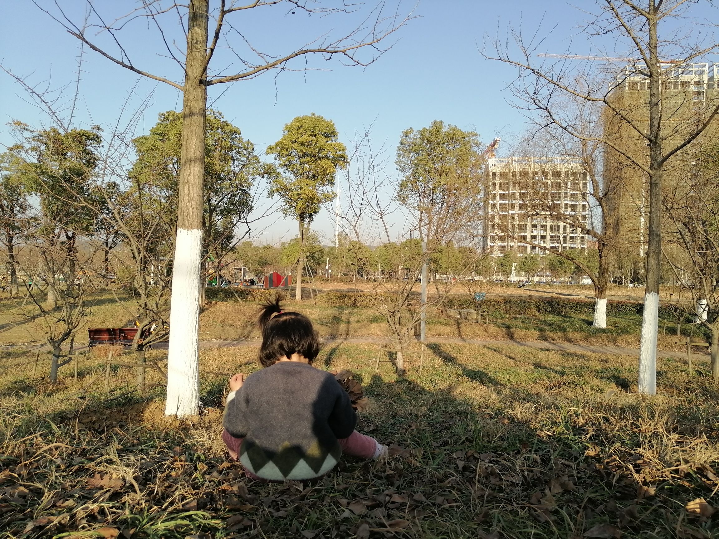 光谷三路湿地公园旅行图片 2