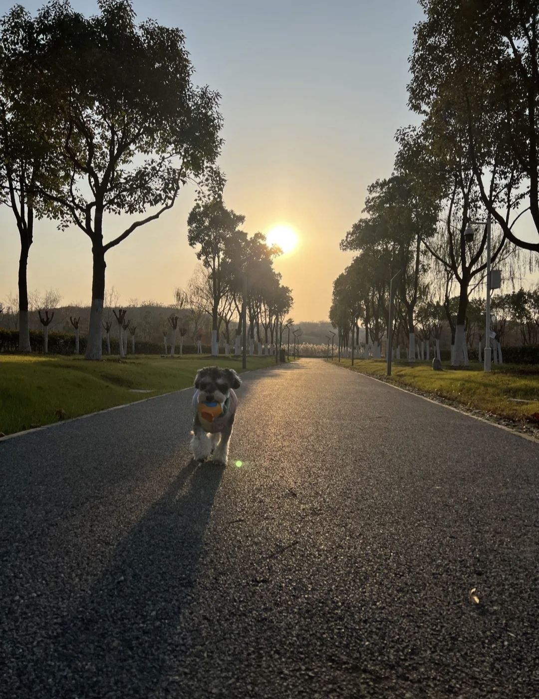 光谷三路湿地公园旅行图片 1