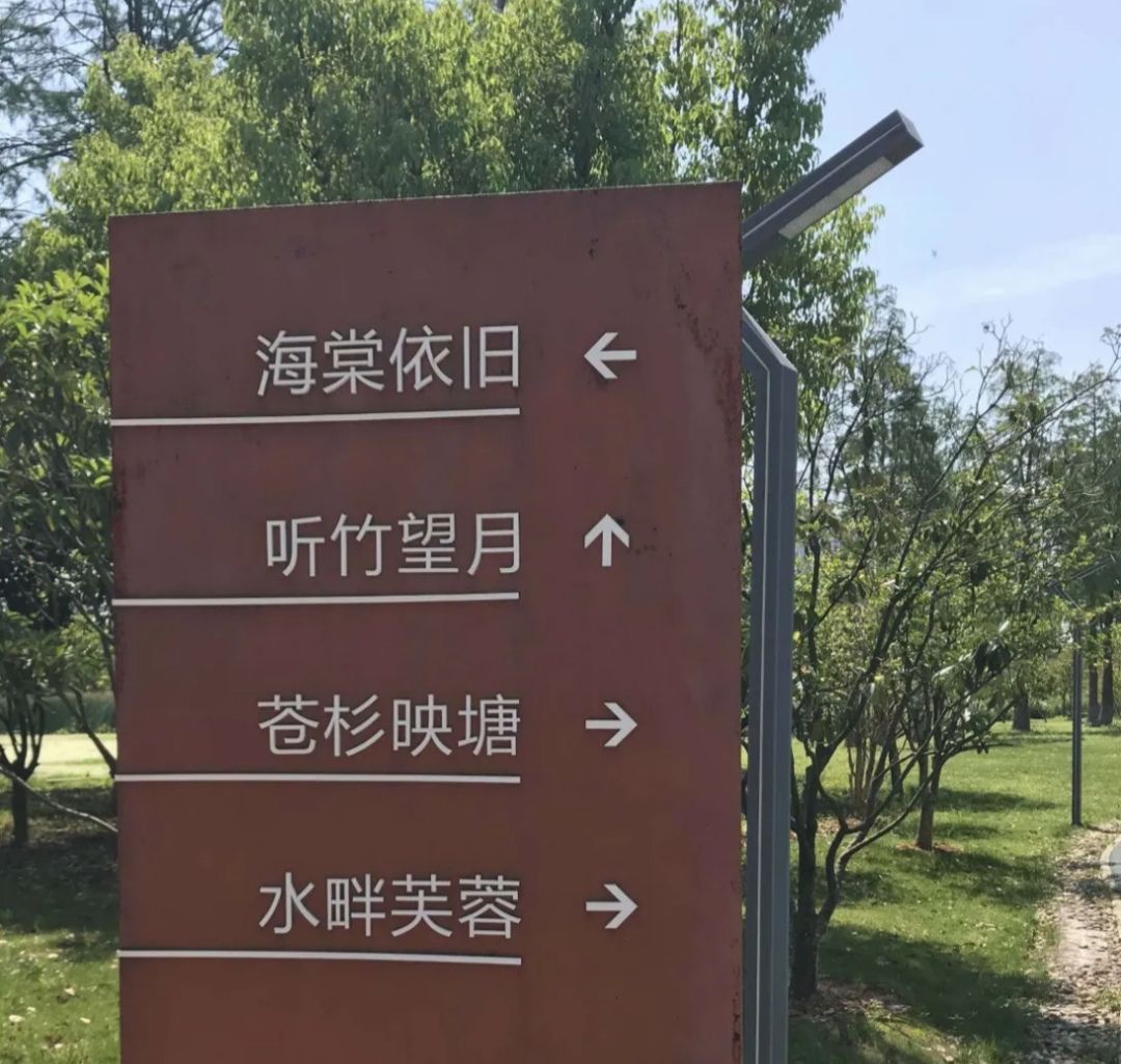 光谷三路湿地公园旅行图片 3