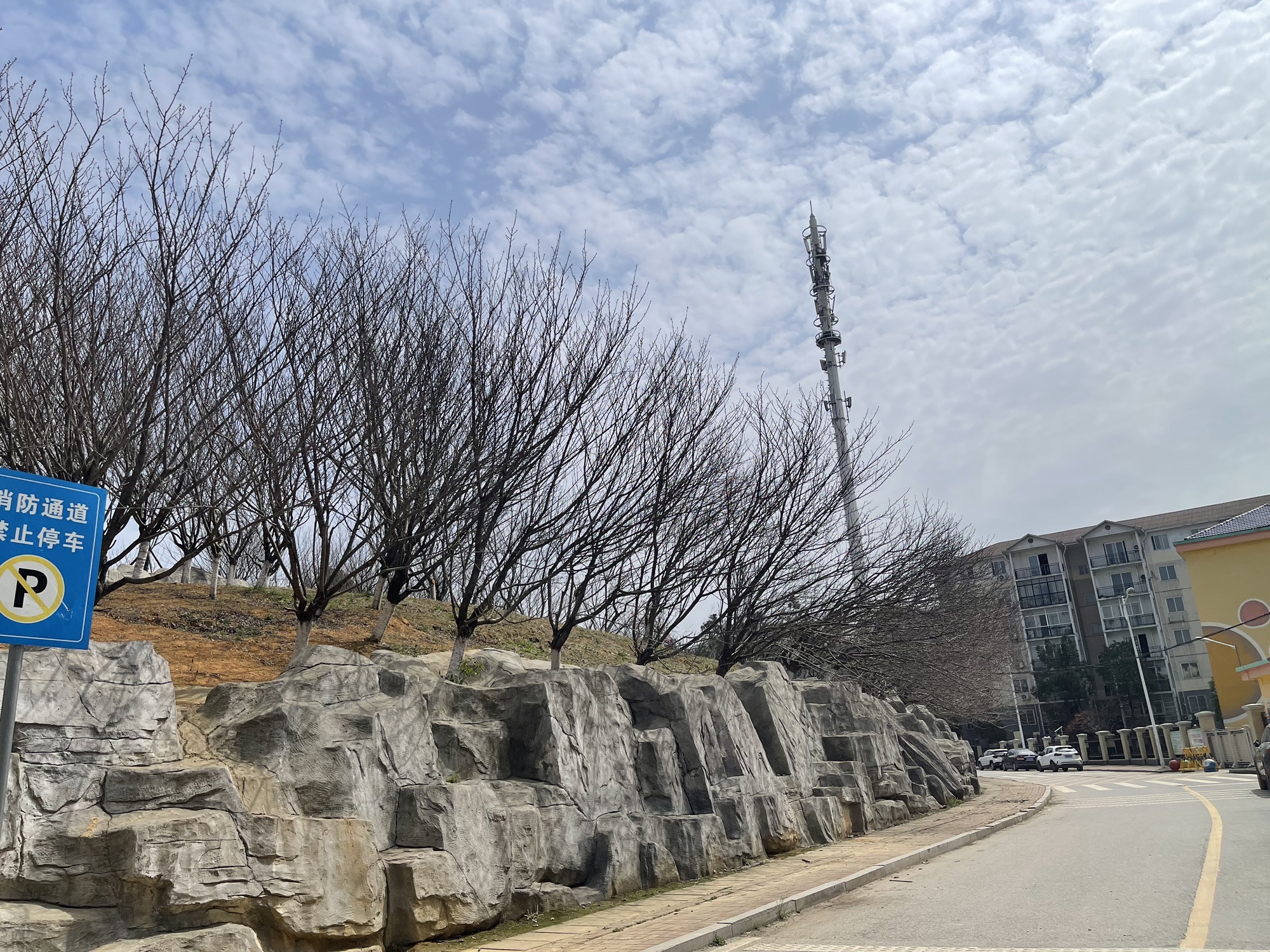 樱花园旅行图片 2