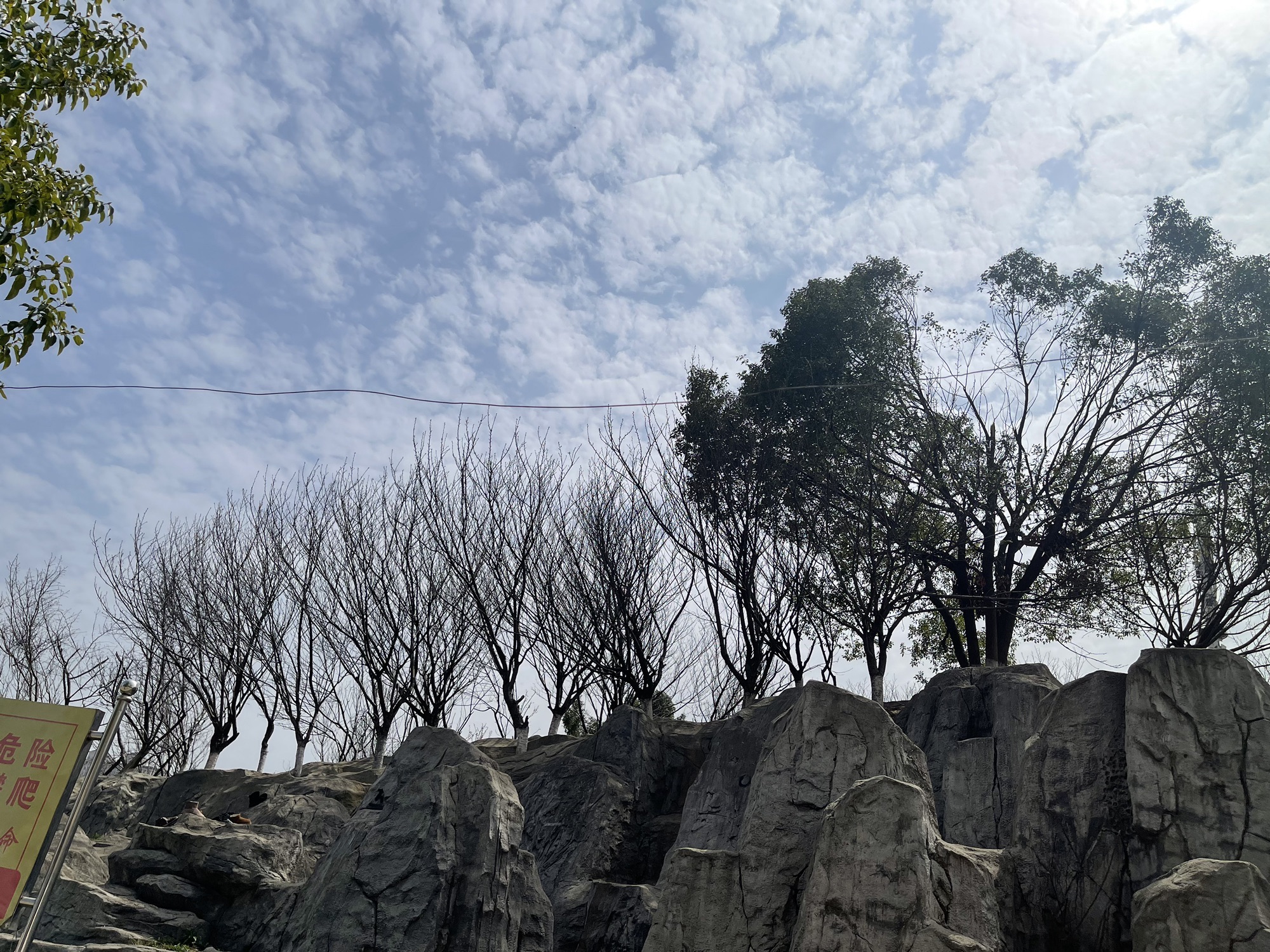 樱花园旅行图片 1