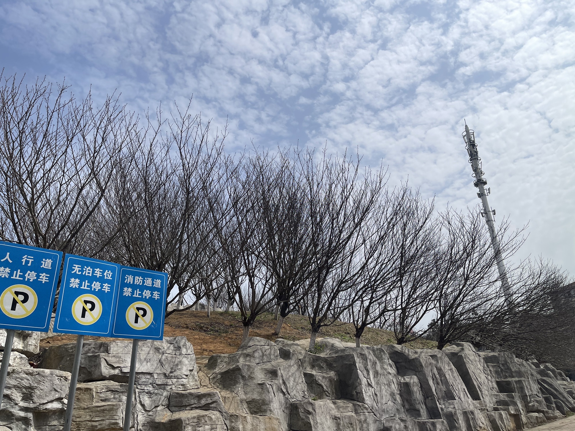 樱花园旅行图片 3