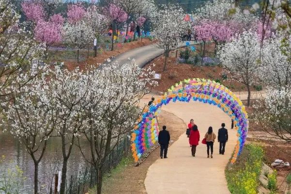樱花园旅行图片 3