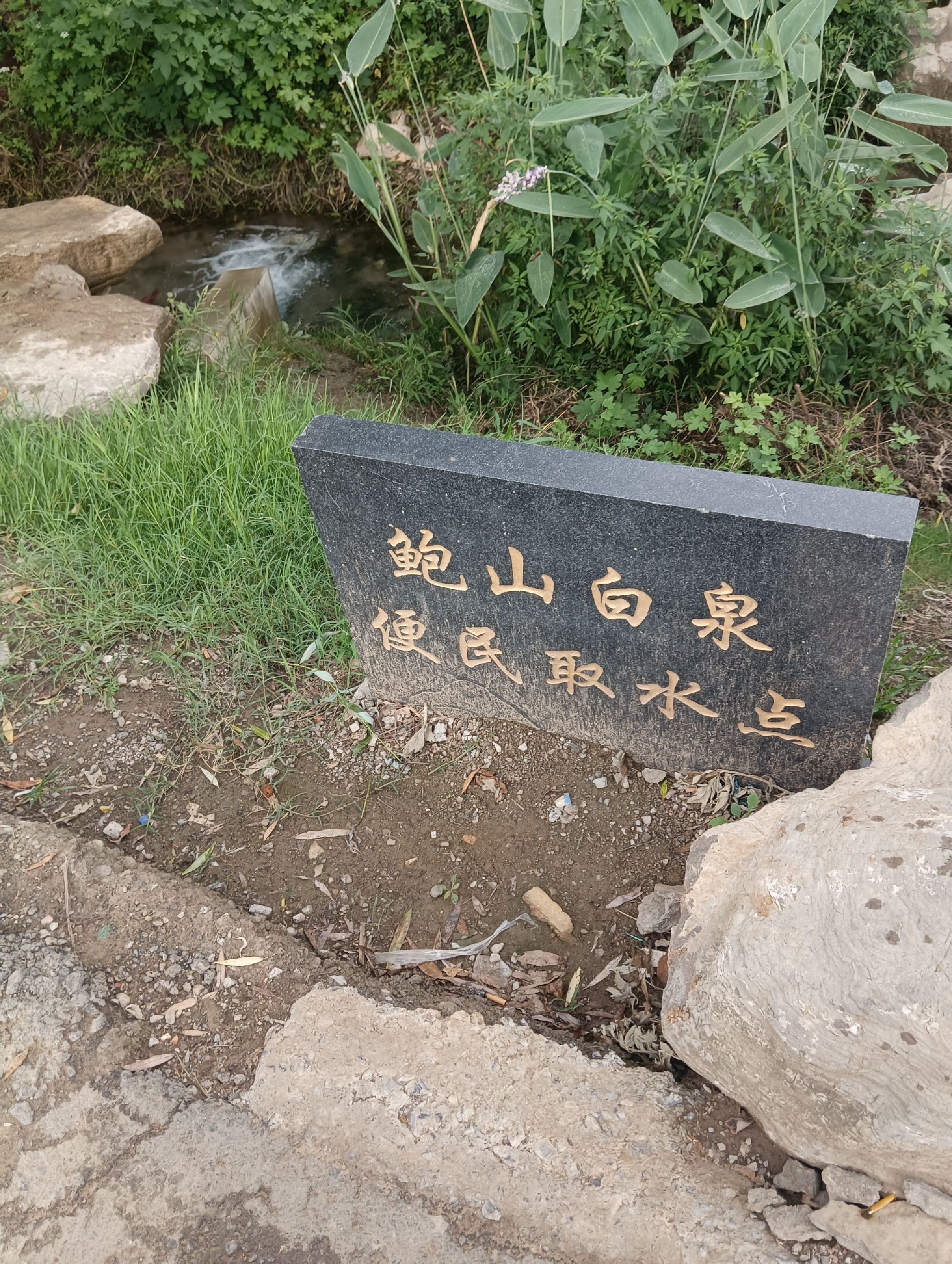 白泉旅行图片 1