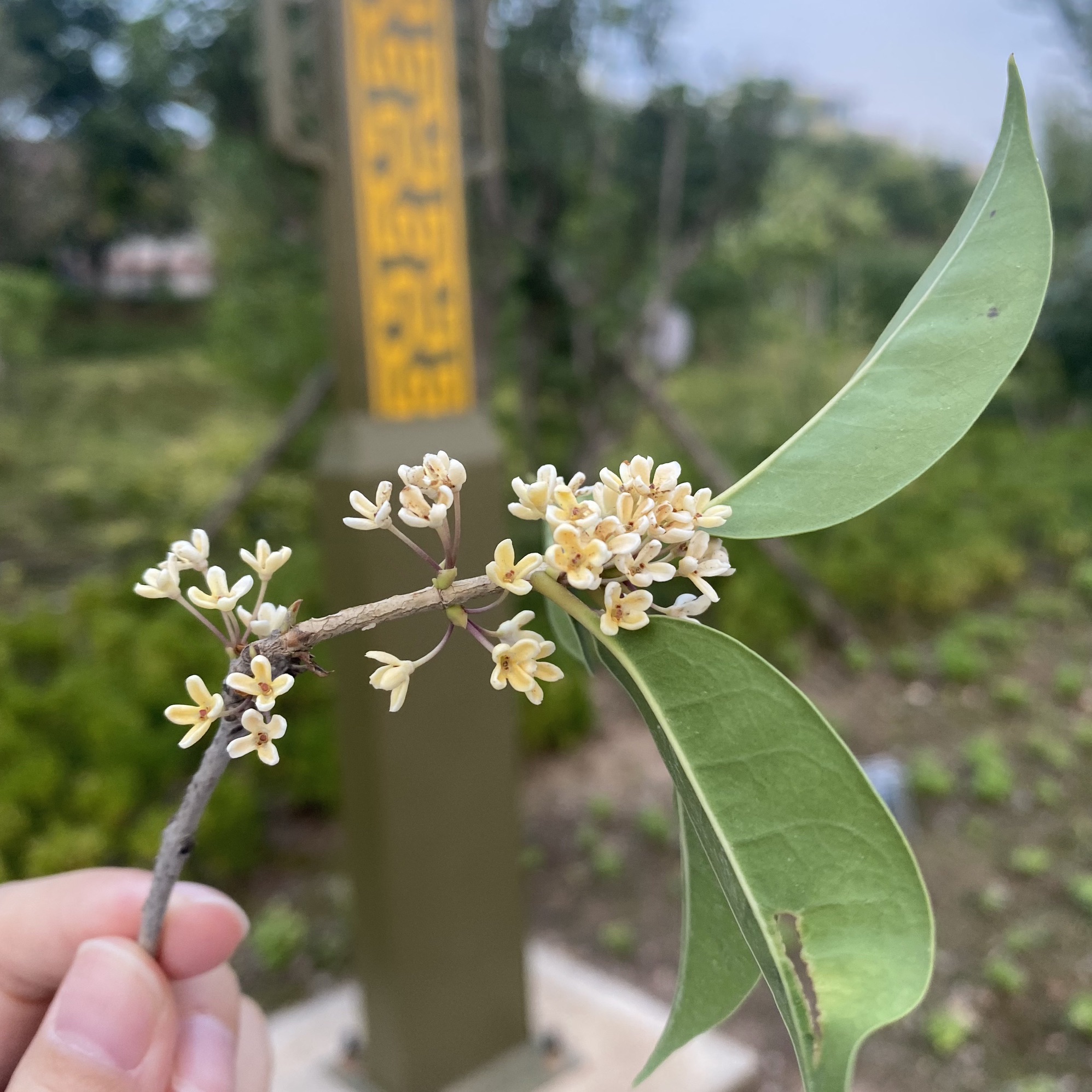 夏县大禹公园旅行图片 1