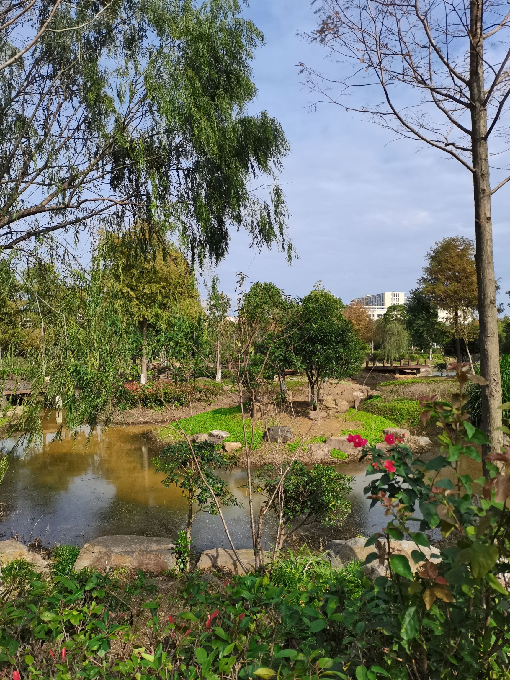 瓯江口新月公园旅行图片 1