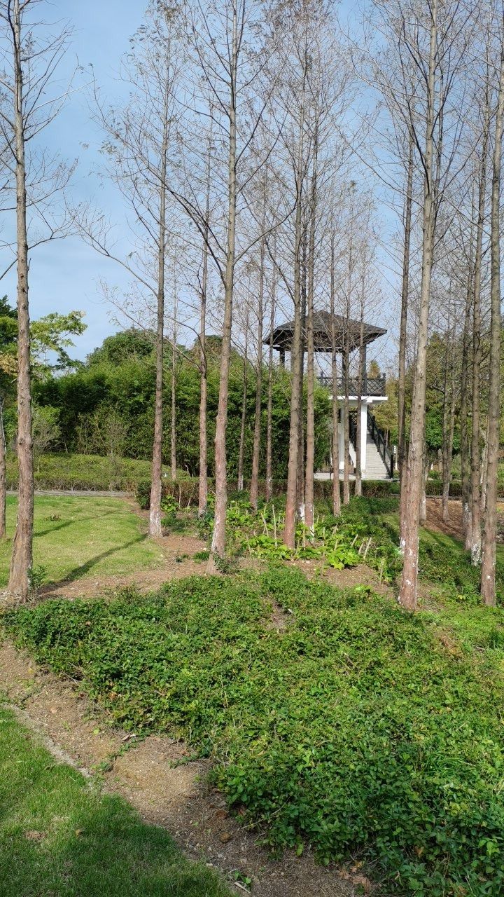 瓯江口新月公园旅行图片 2