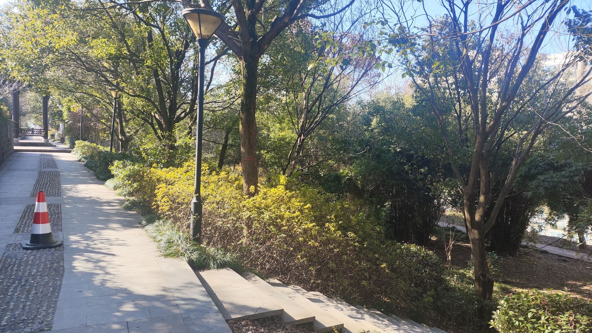 徽州文化公园(滨河南路)旅行图片 3