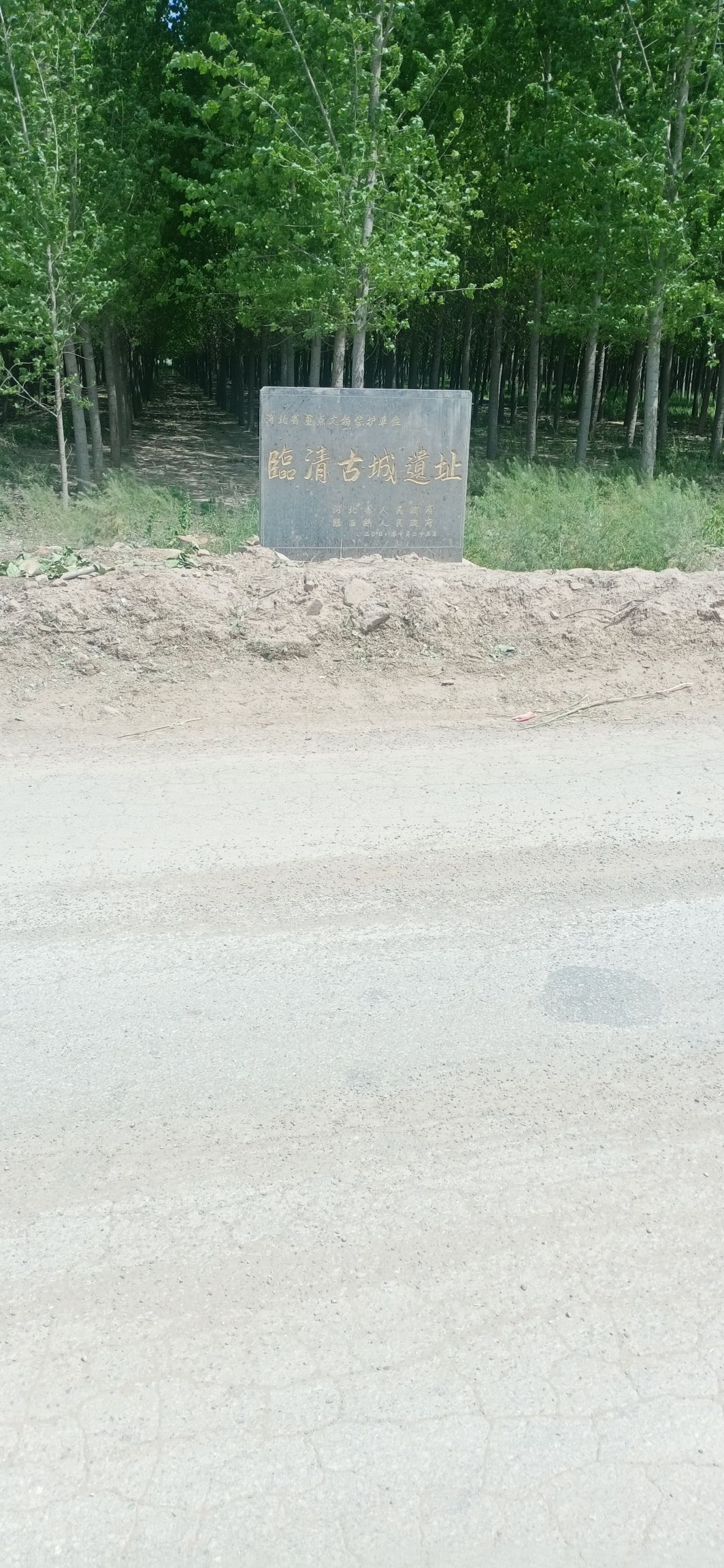 临清古城遗址旅行图片 1