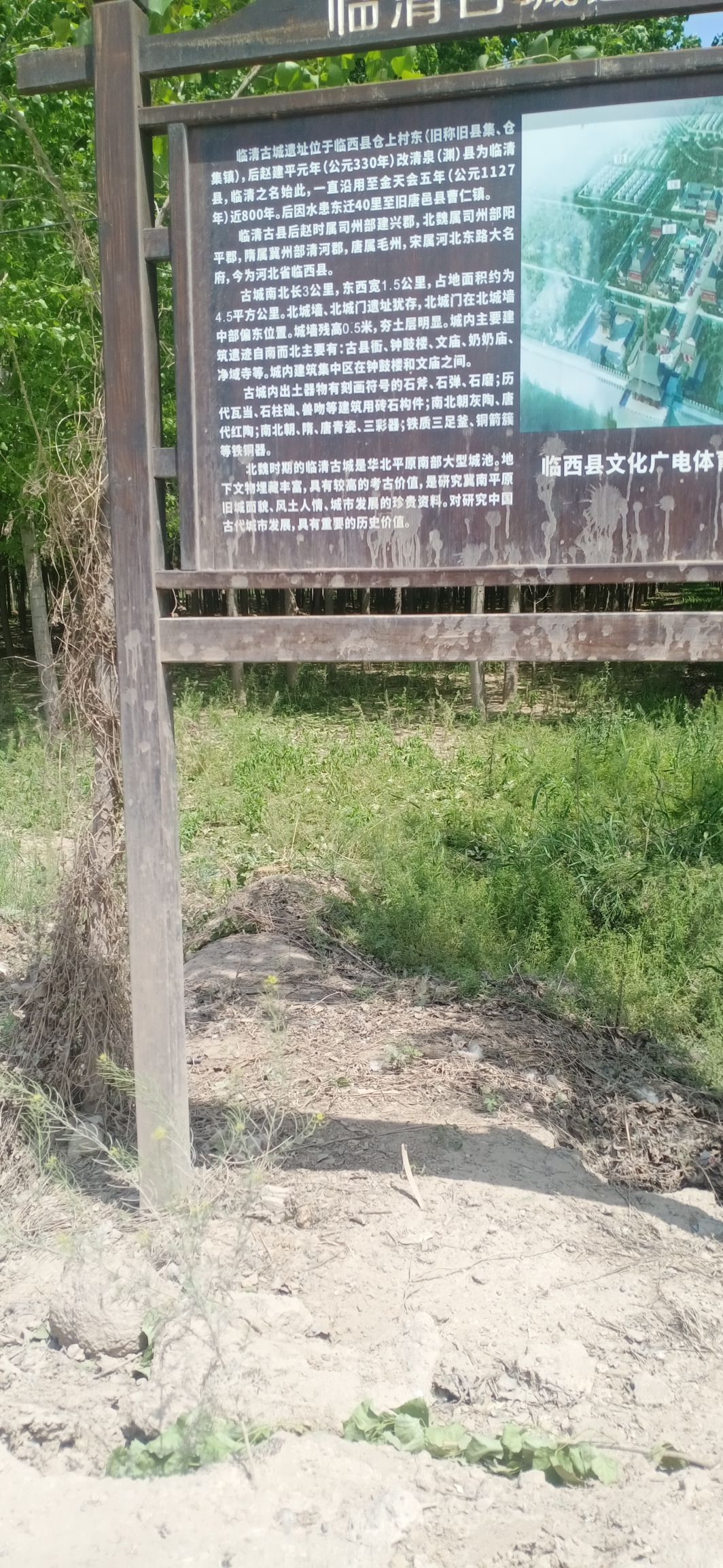 临清古城遗址旅行图片 2