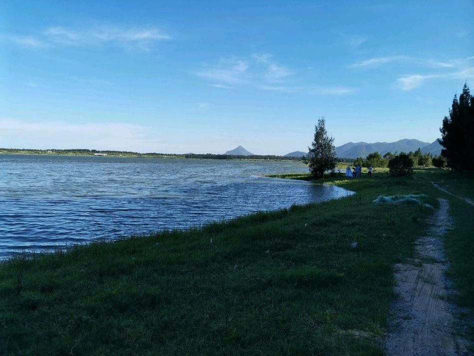 观音埔湿地公园旅行图片 3