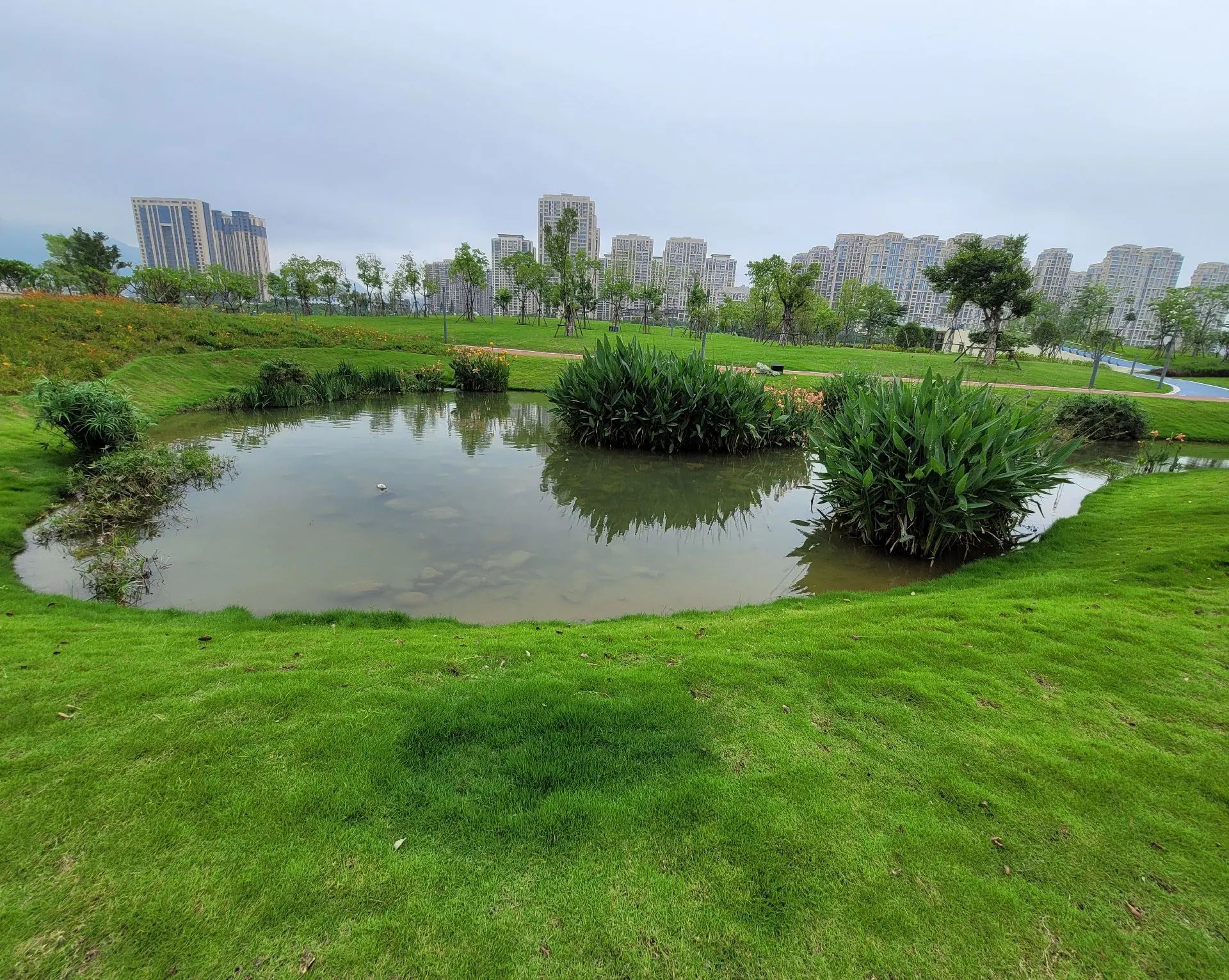 观音埔湿地公园旅行图片 1