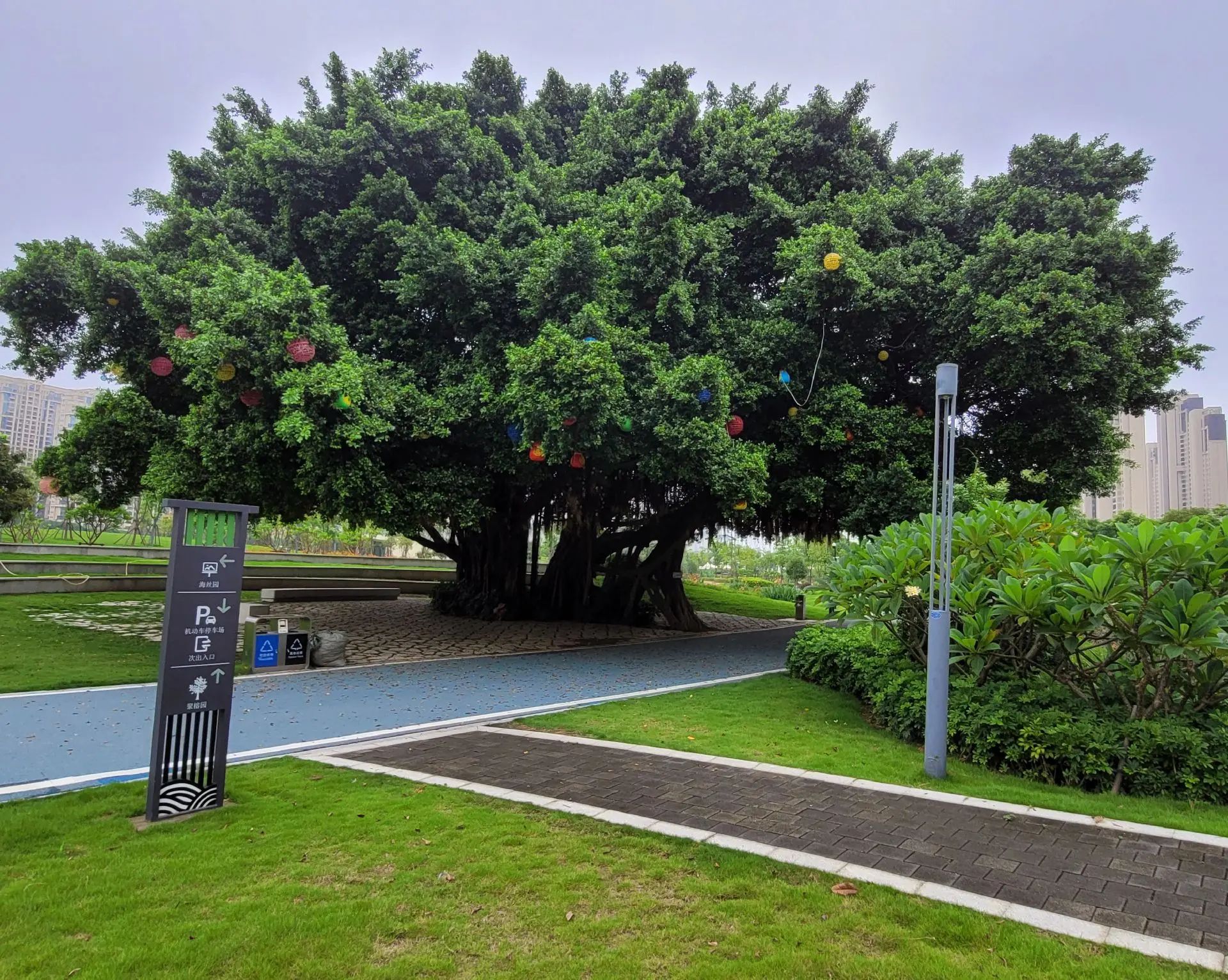 观音埔湿地公园旅行图片 2