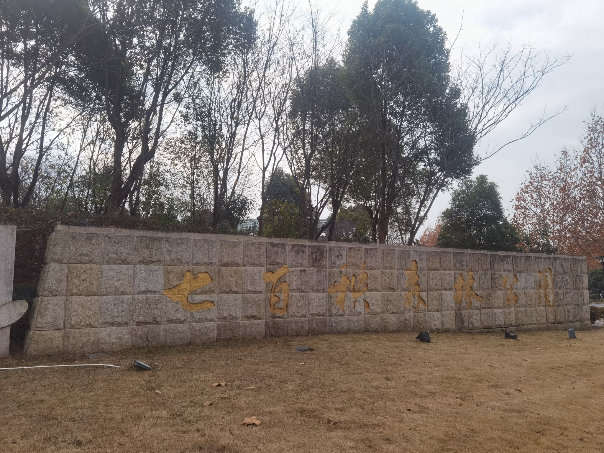 七百秧森林公园旅行图片 1