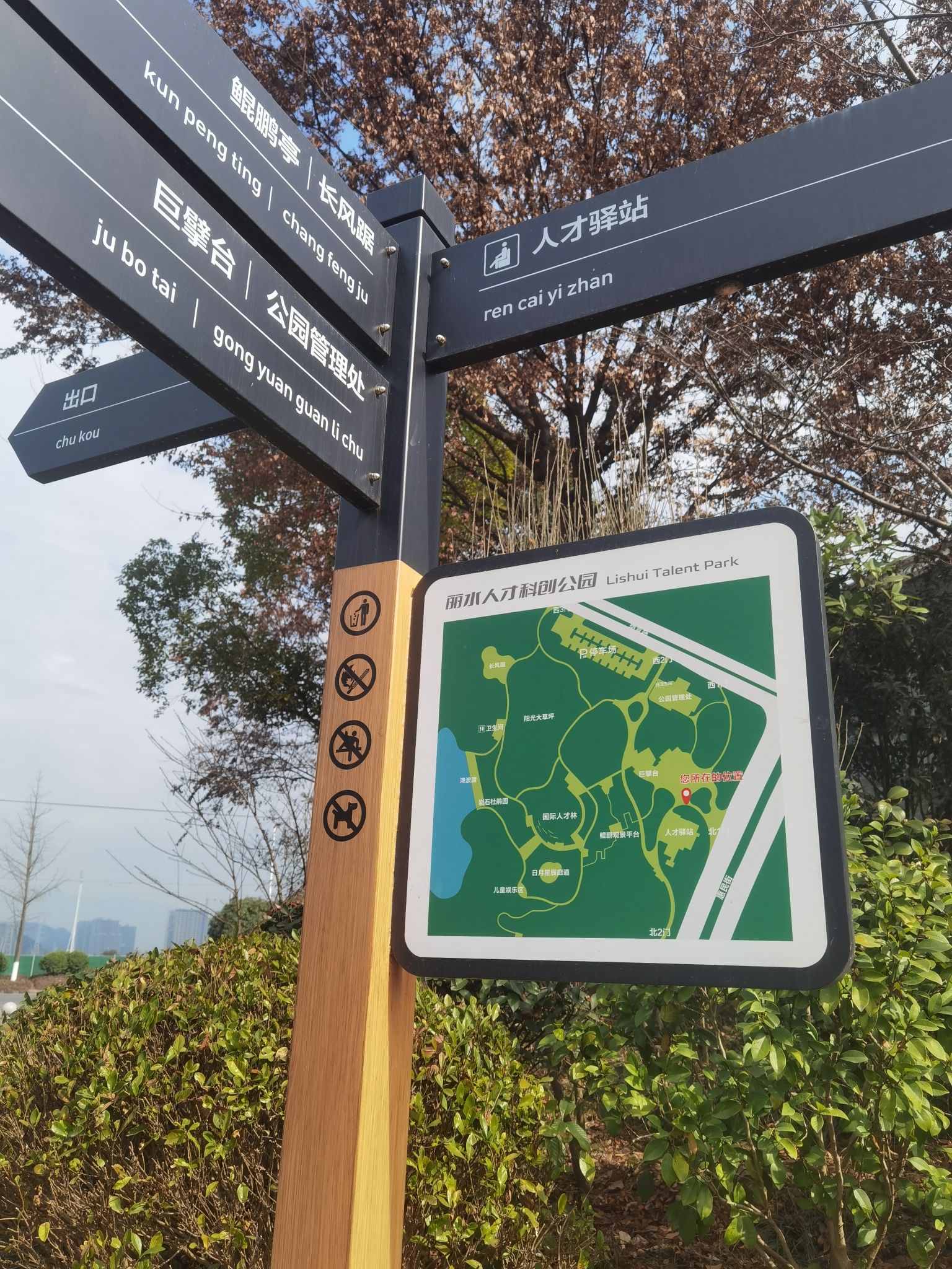 七百秧森林公园旅行图片 2