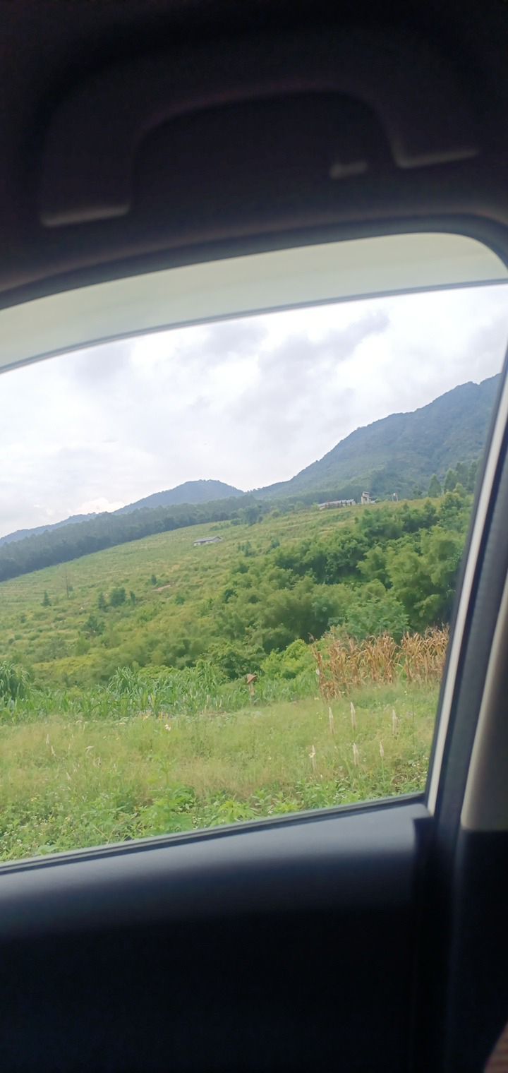 莲花庵旅行图片 1