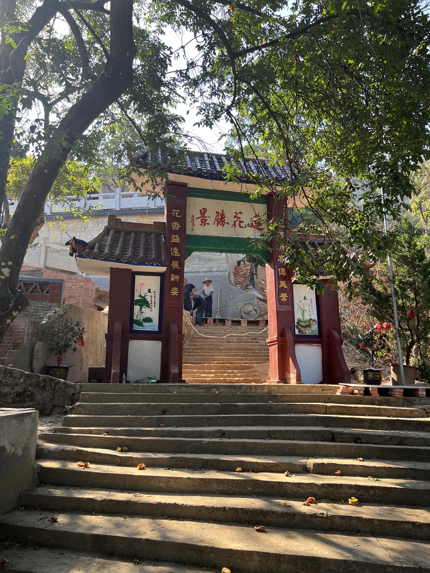 莲花庵旅行图片 2