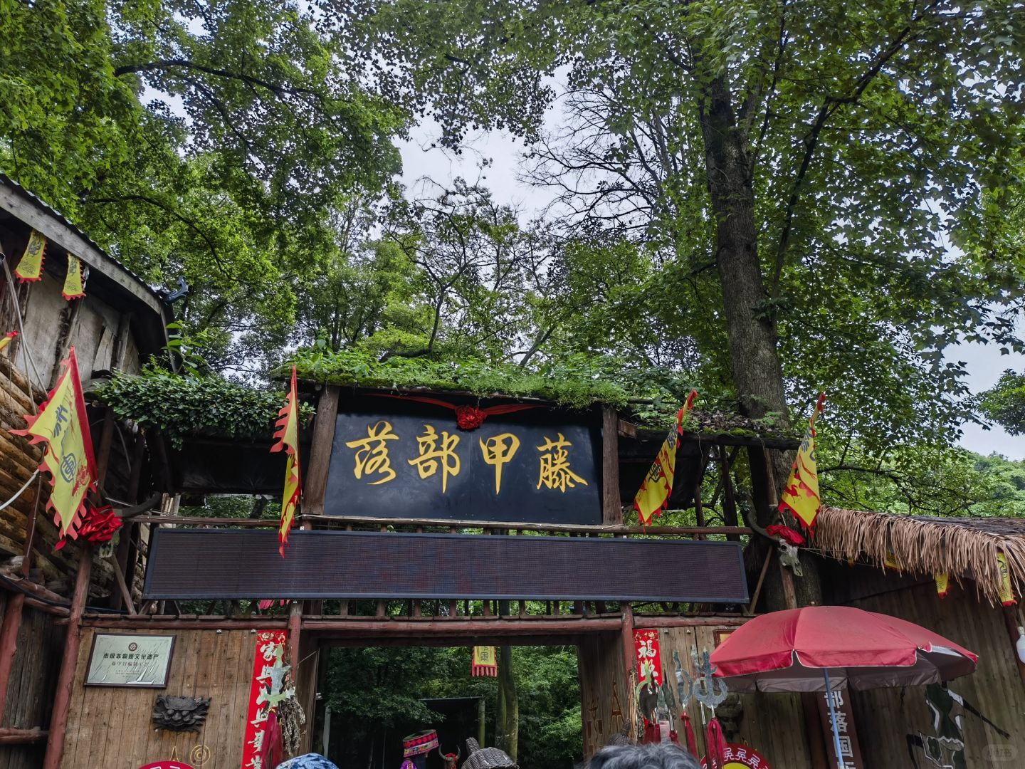 藤甲部落旅行图片 1
