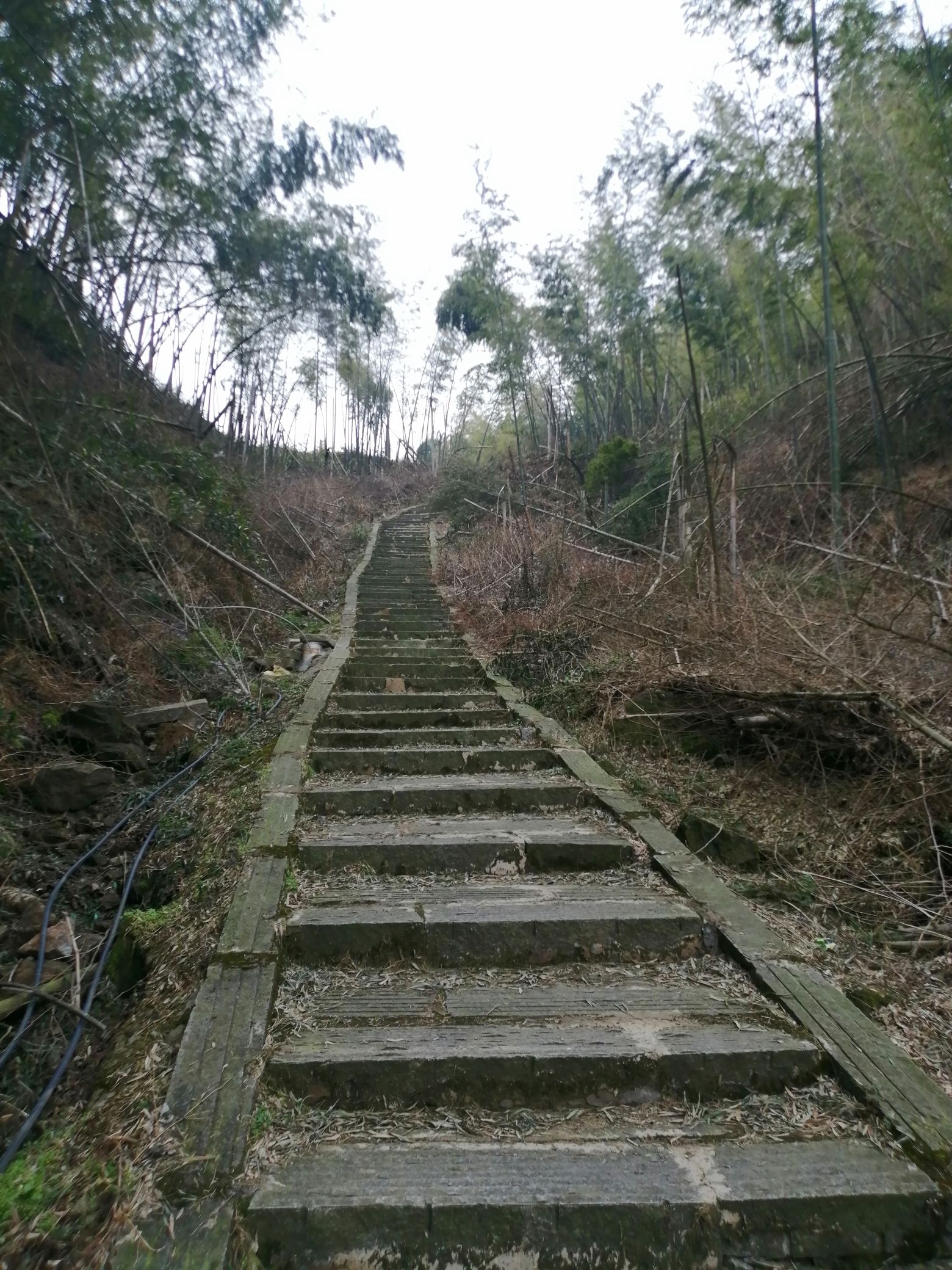 玉池古寺旅行图片 3