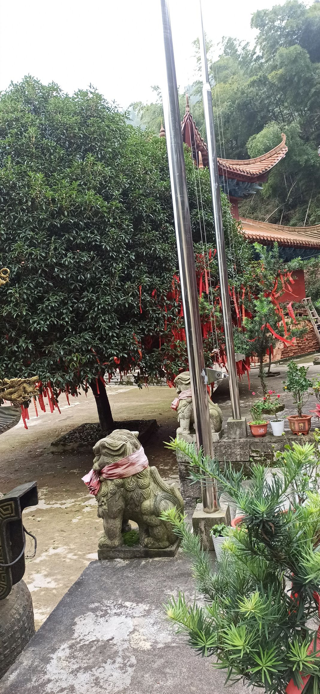 玉池古寺旅行图片 2