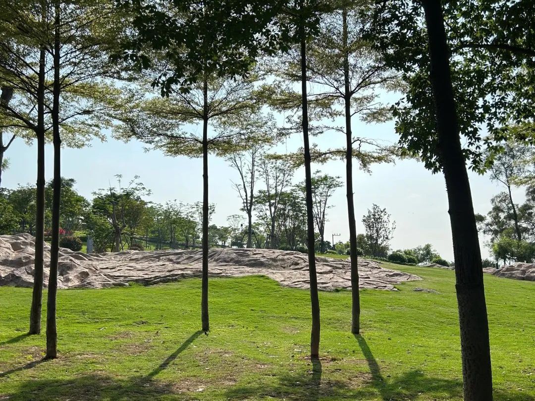 山边公园旅行图片 1