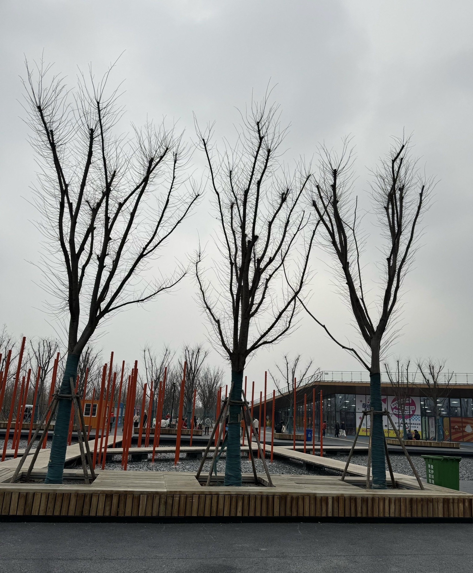 春申湖湿地公园旅行图片 3