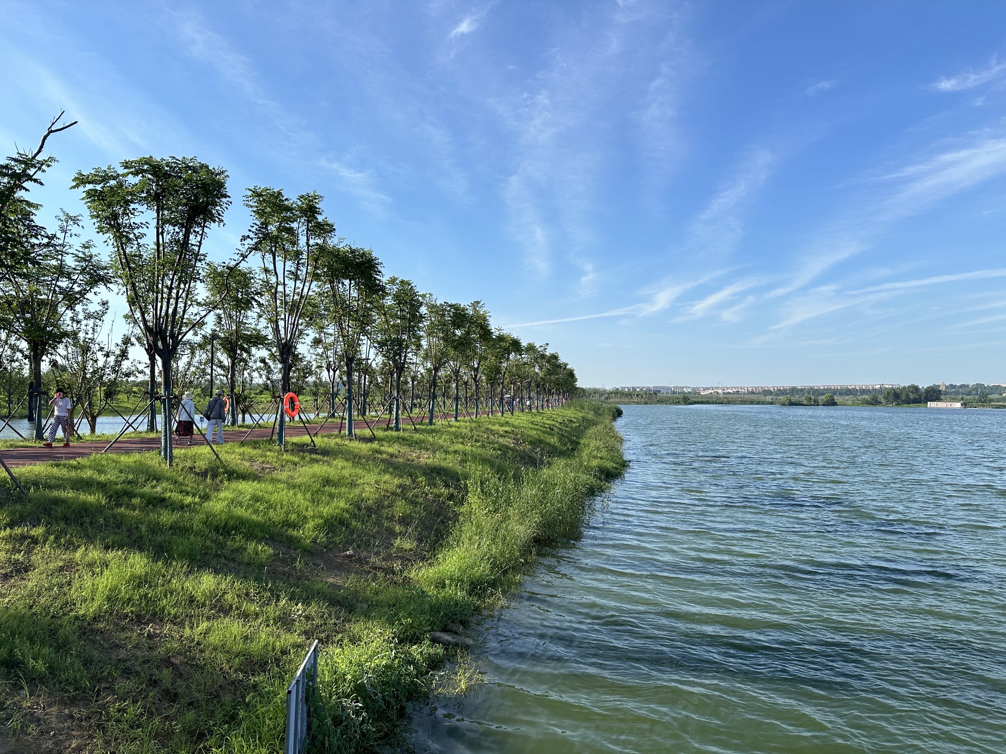 春申湖湿地公园旅行图片 3