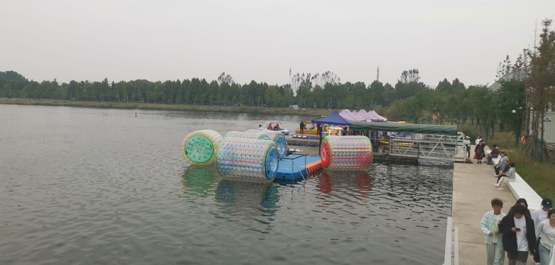 春申湖湿地公园旅行图片 2