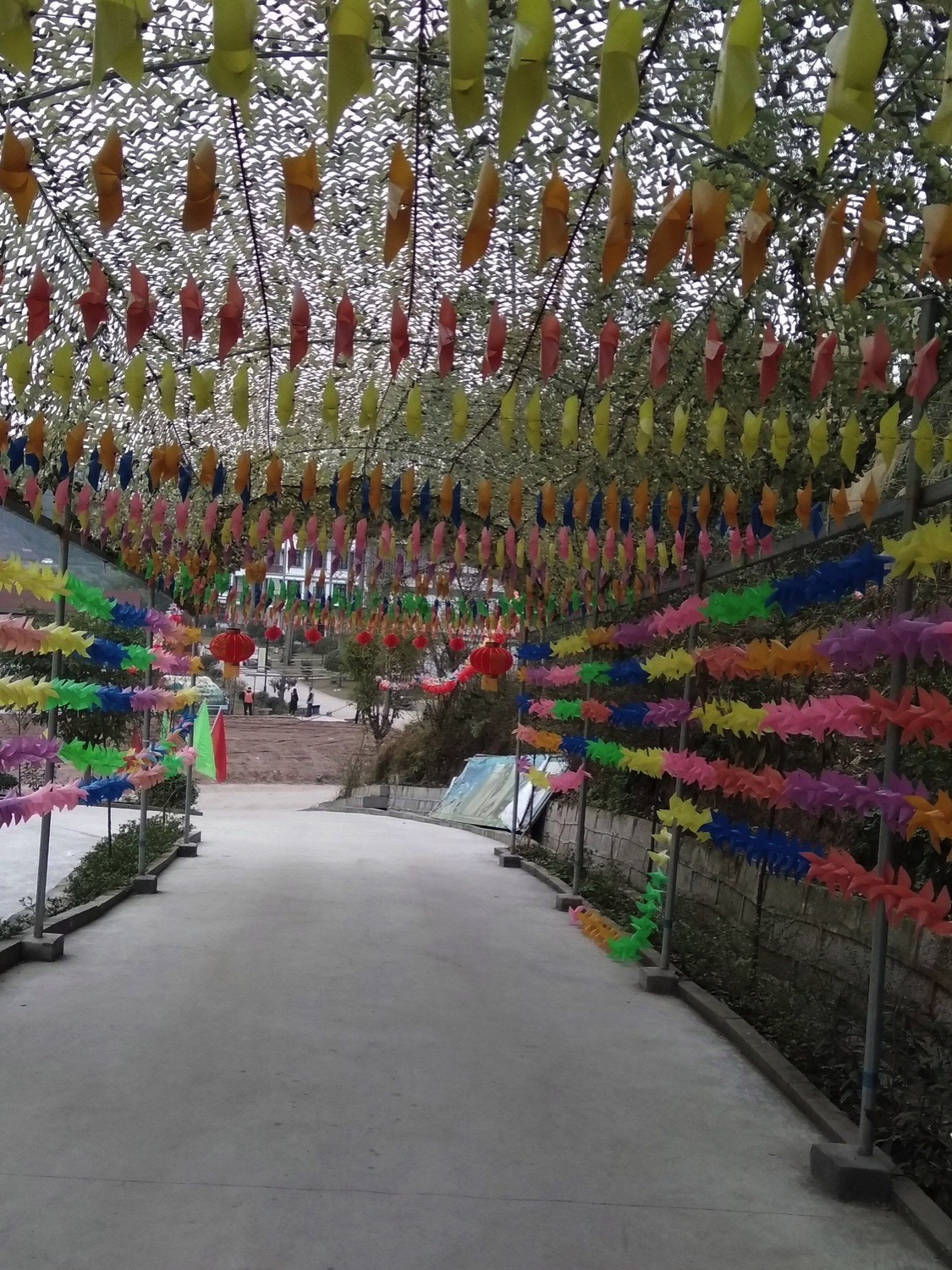 华蓥君兰天下生态文化园旅行图片 1