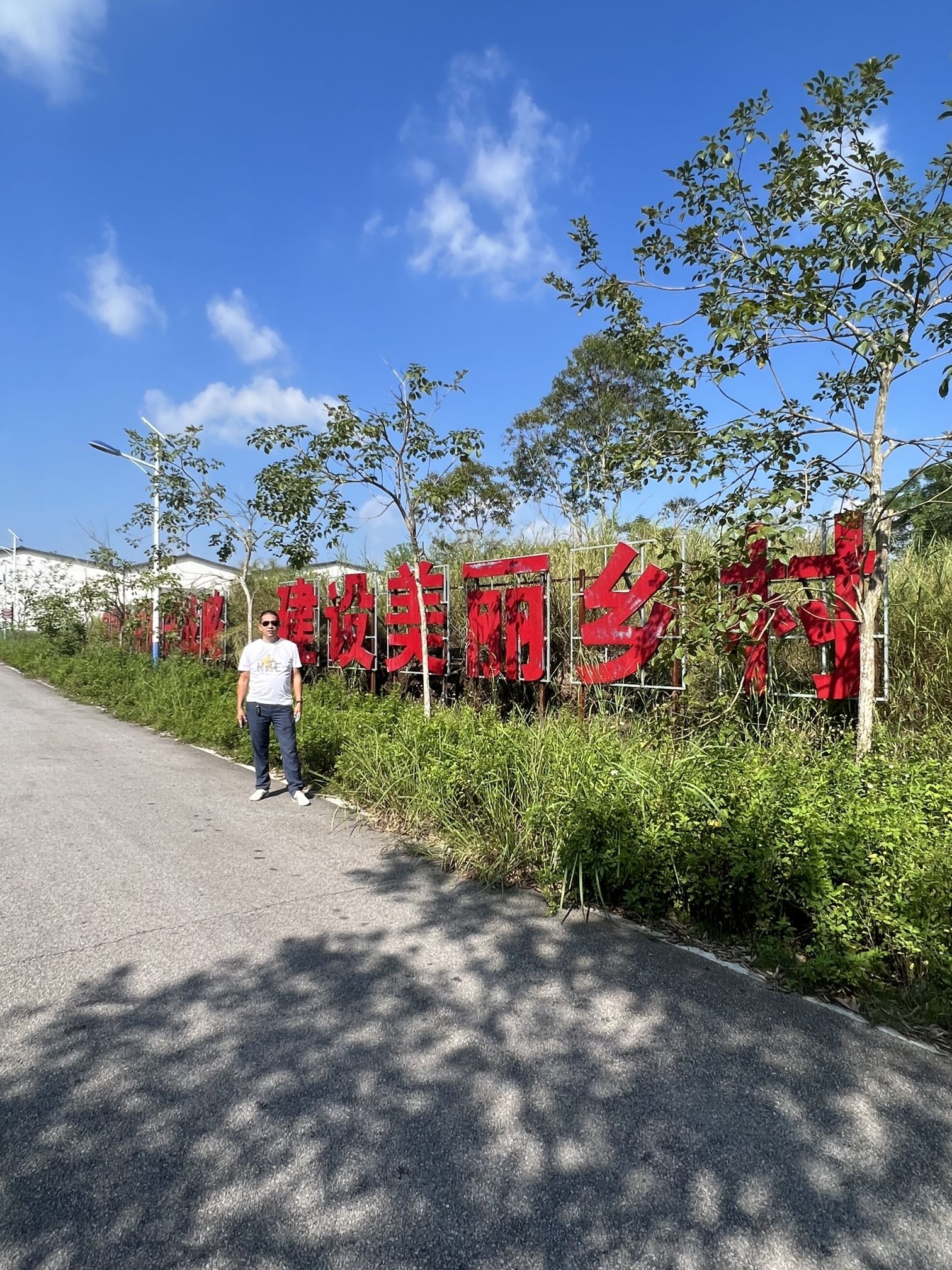 贵港市四季花田农业生态观光园旅行图片 1