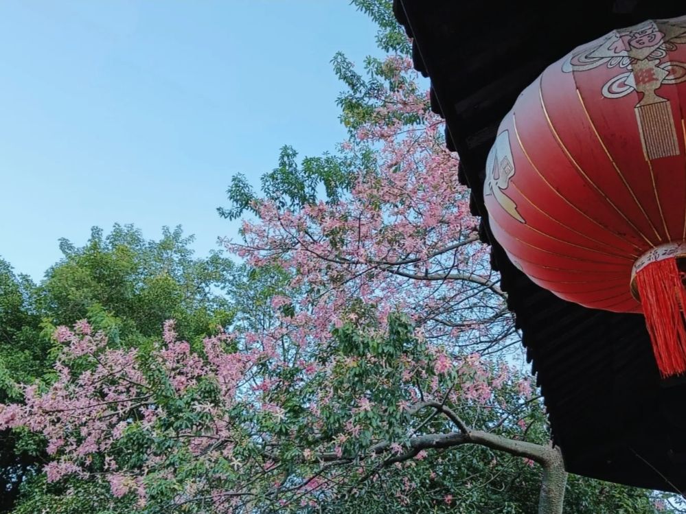 立鱼峰风景区旅行图片 1